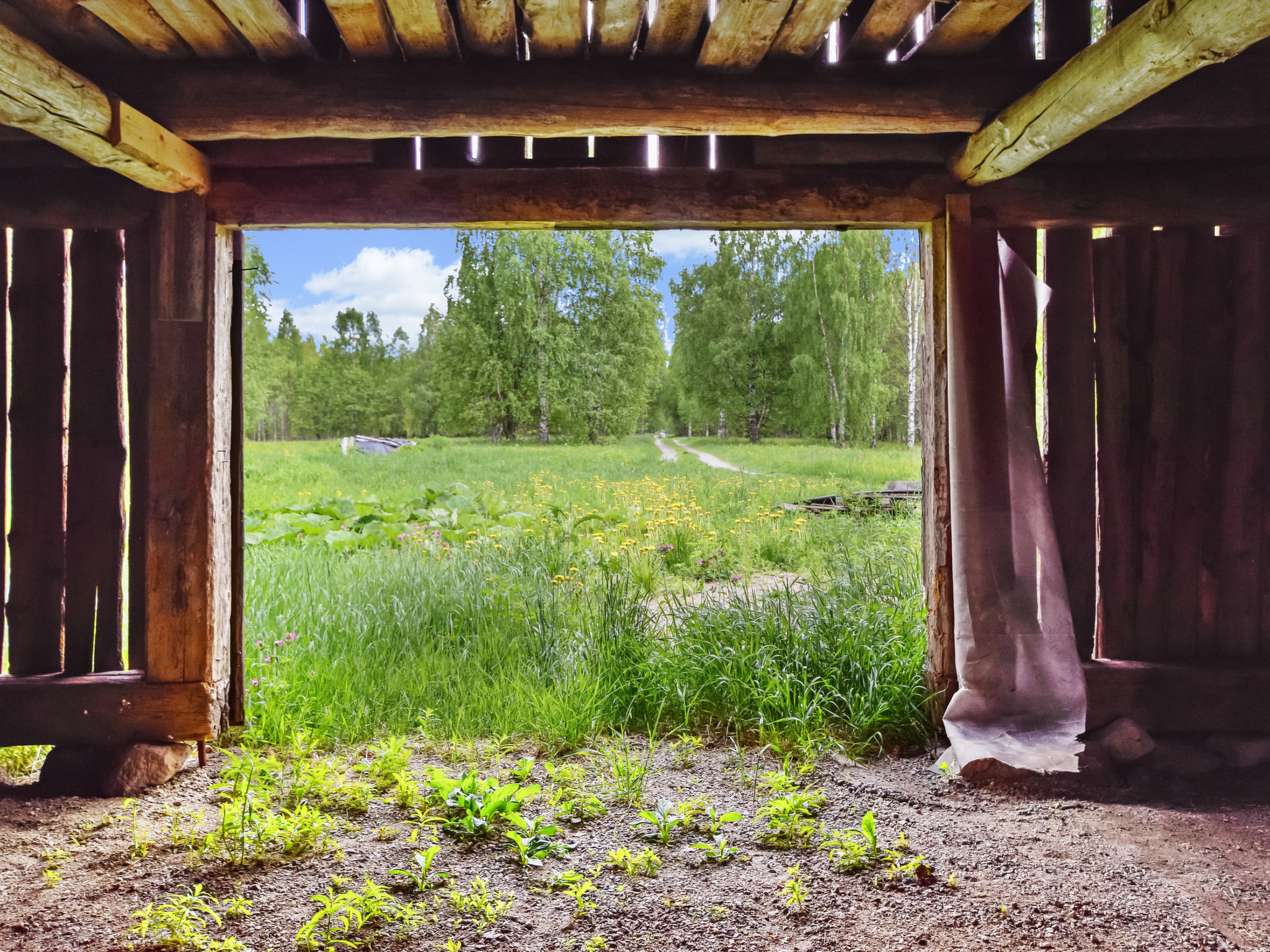 Eskelänniemi - Binnen
