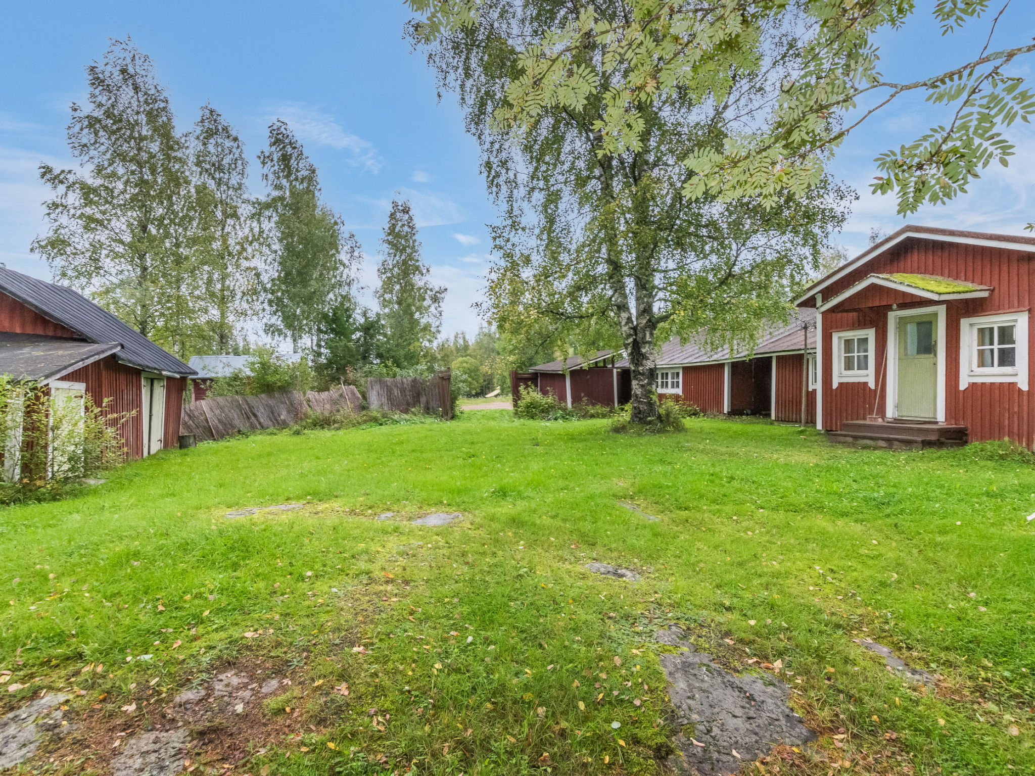 Tähdikki