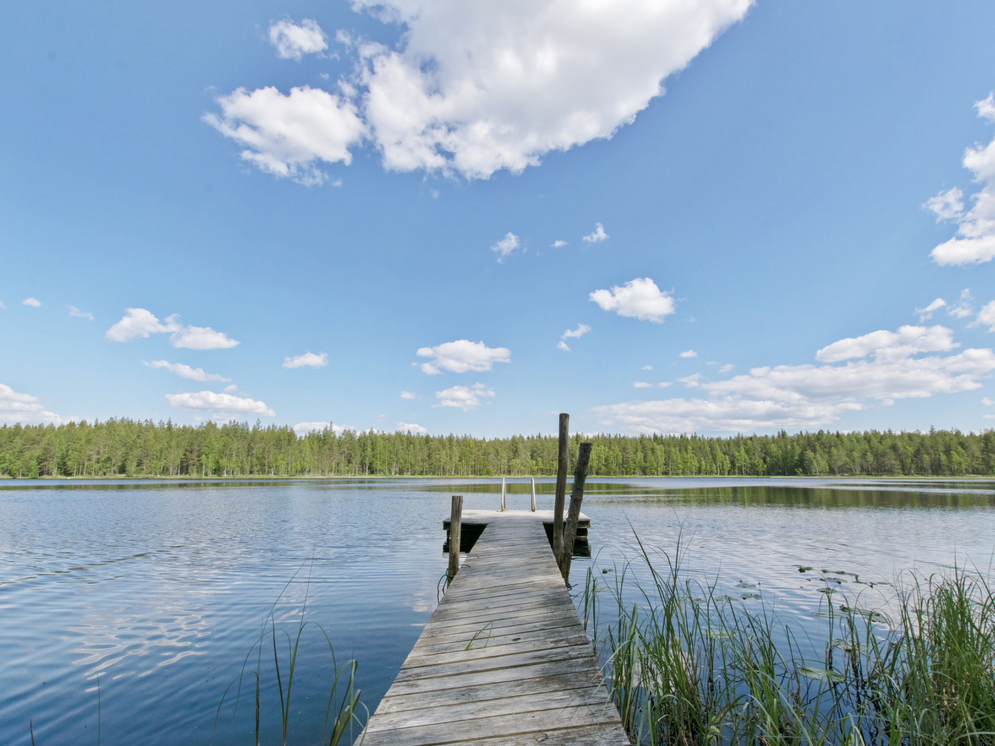 Piennarpää