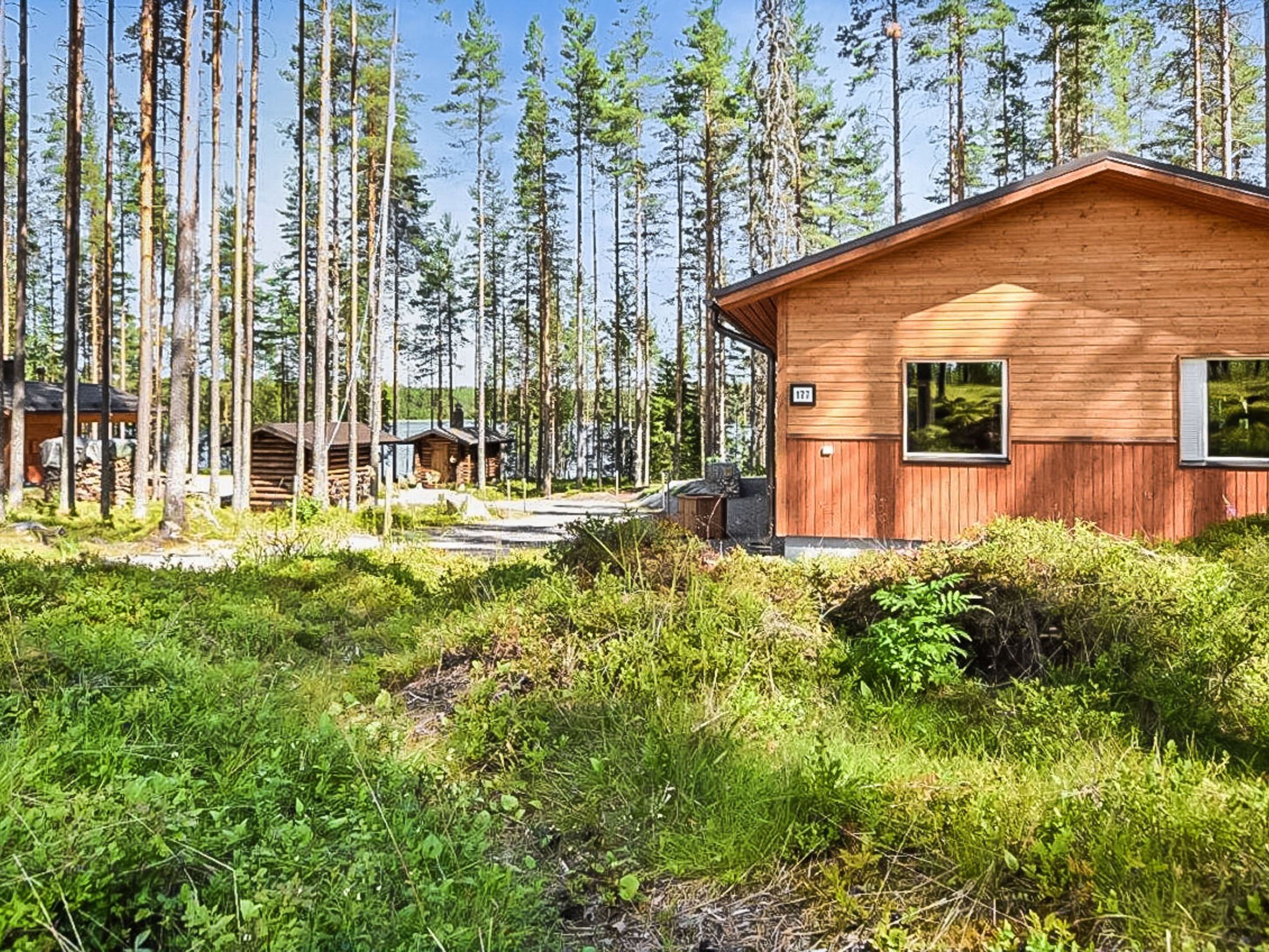 Lepovalkeinen