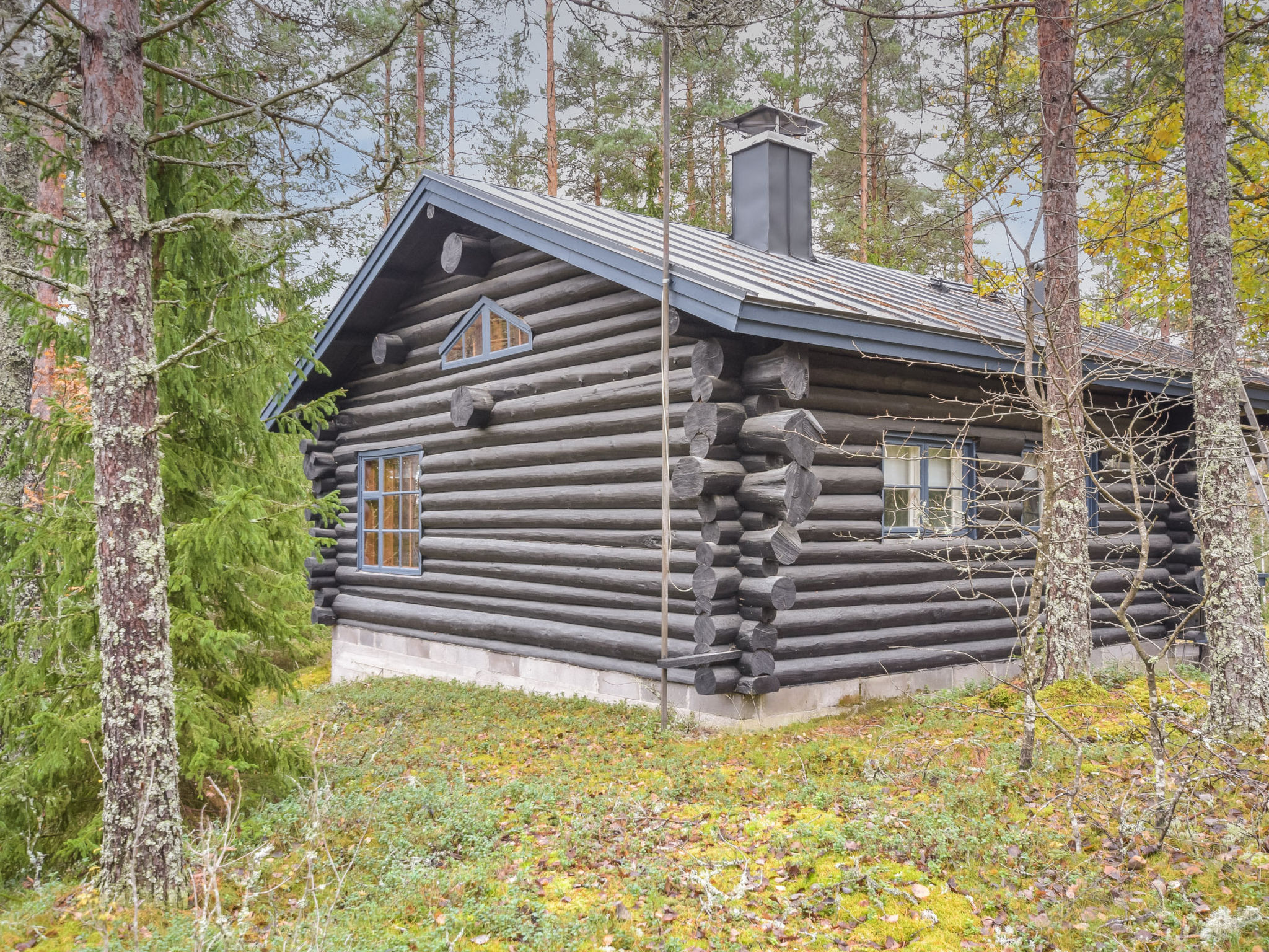 Metsätupa - Dedans