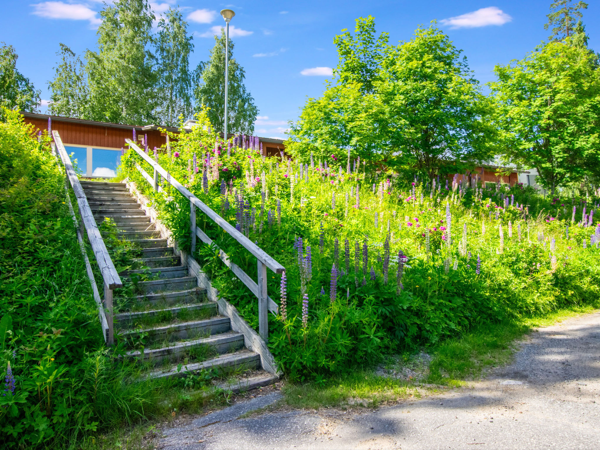 Heinävesi homes d7 - Binnen