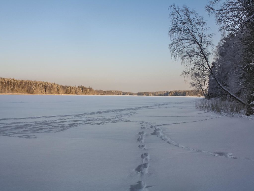 Bild 14