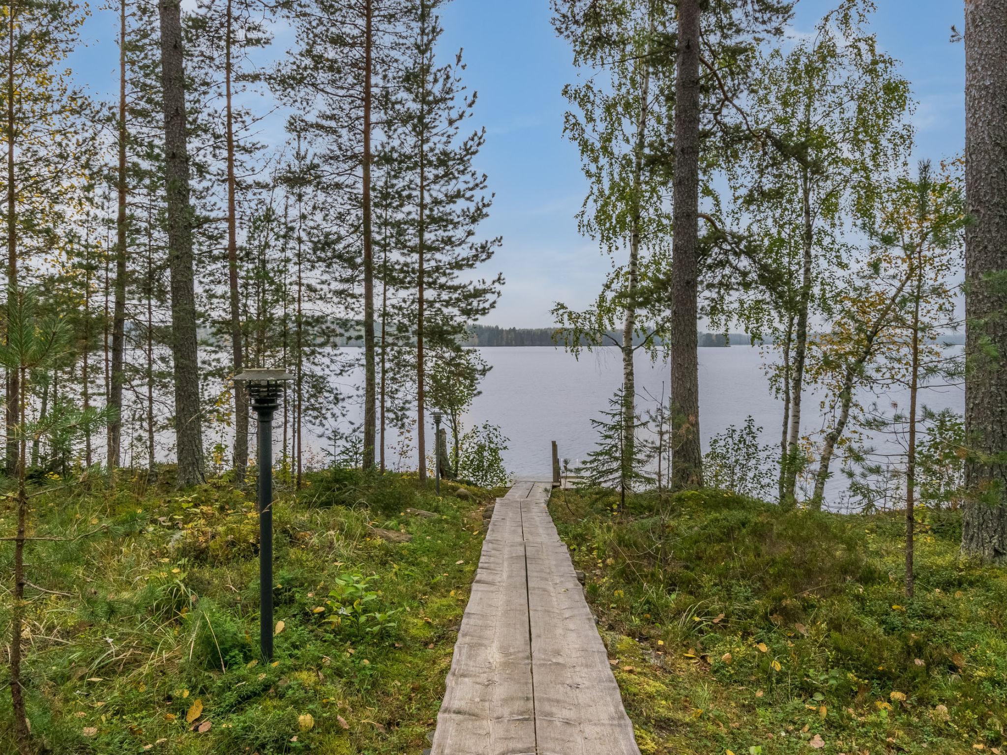 Metsola / huilinpaikka