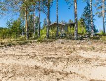 Semesterhus Villa pyöriäinen