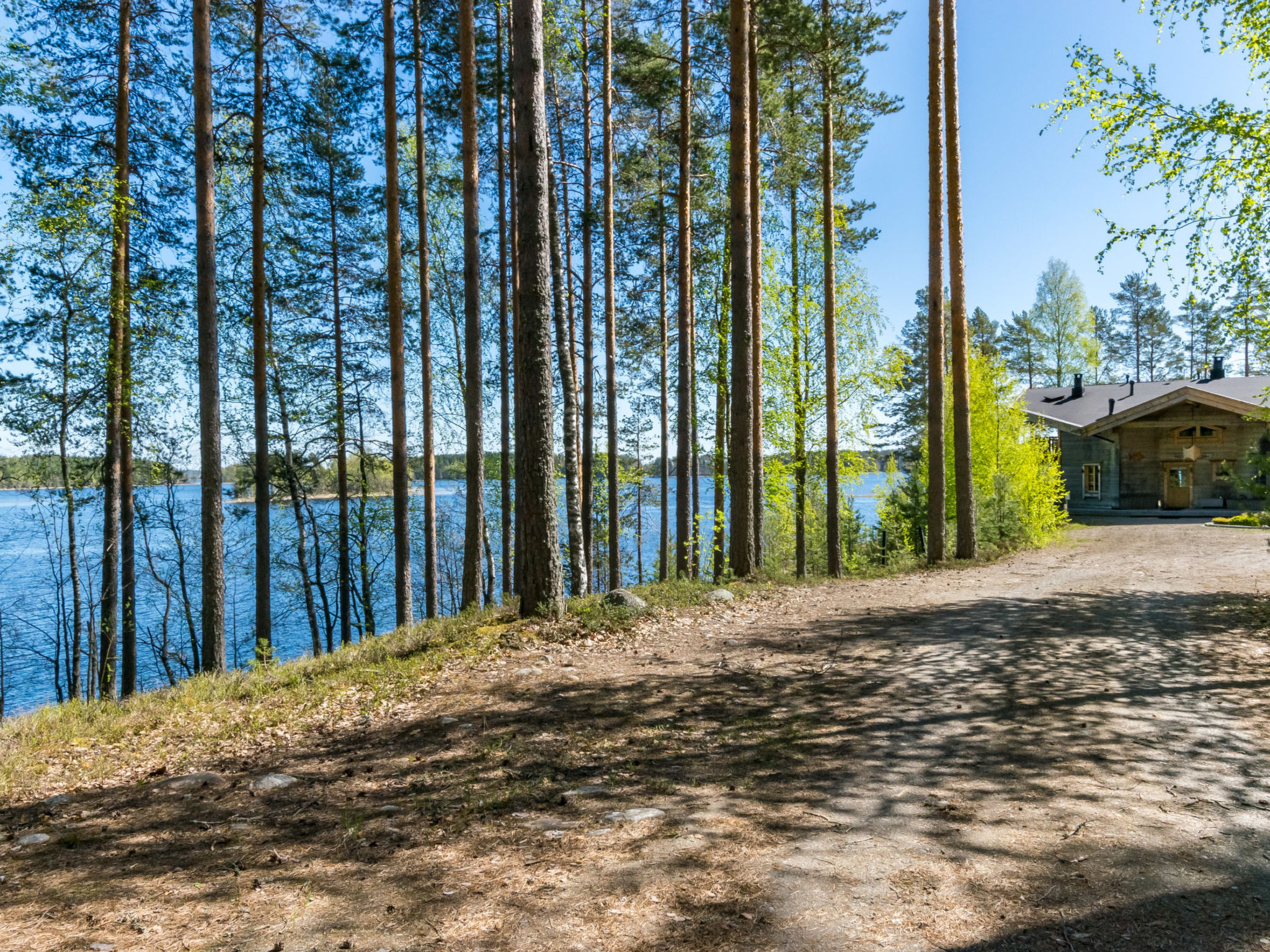 Villa pyöriäinen