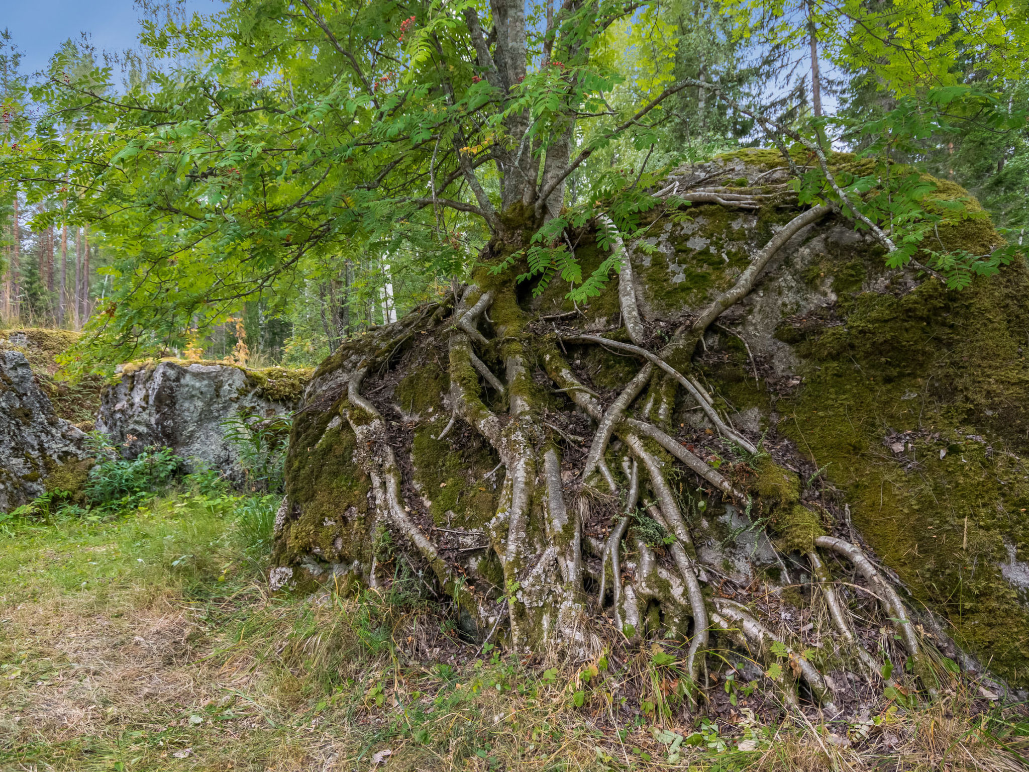 Hiidenlinna