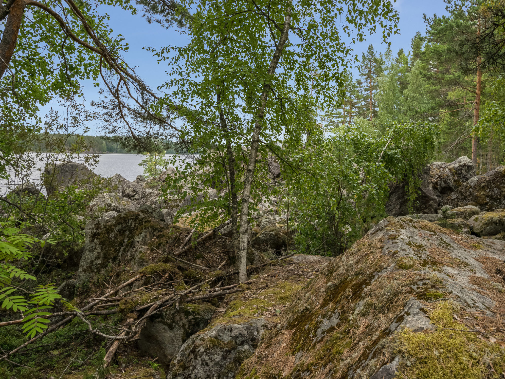 Neitlinna
