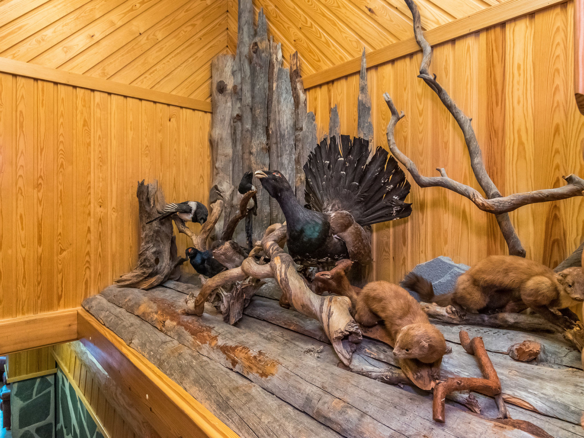 Maison Honkalinna – Intérieur, photo 33 sur 86
