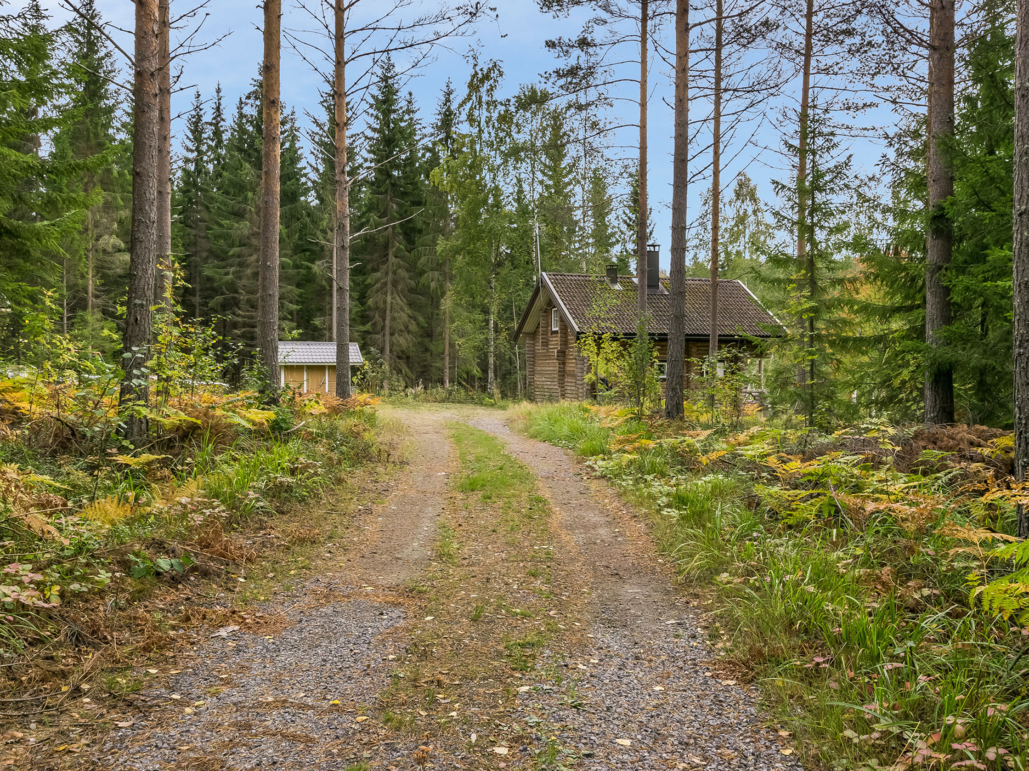 Pikku harrila