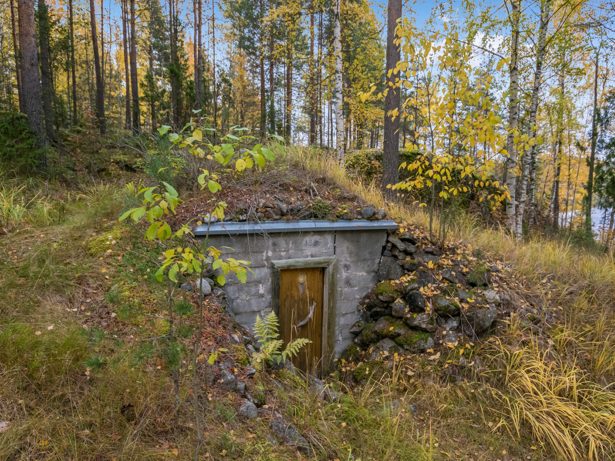 Orava-apaja