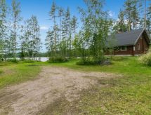 Niitsinniemi