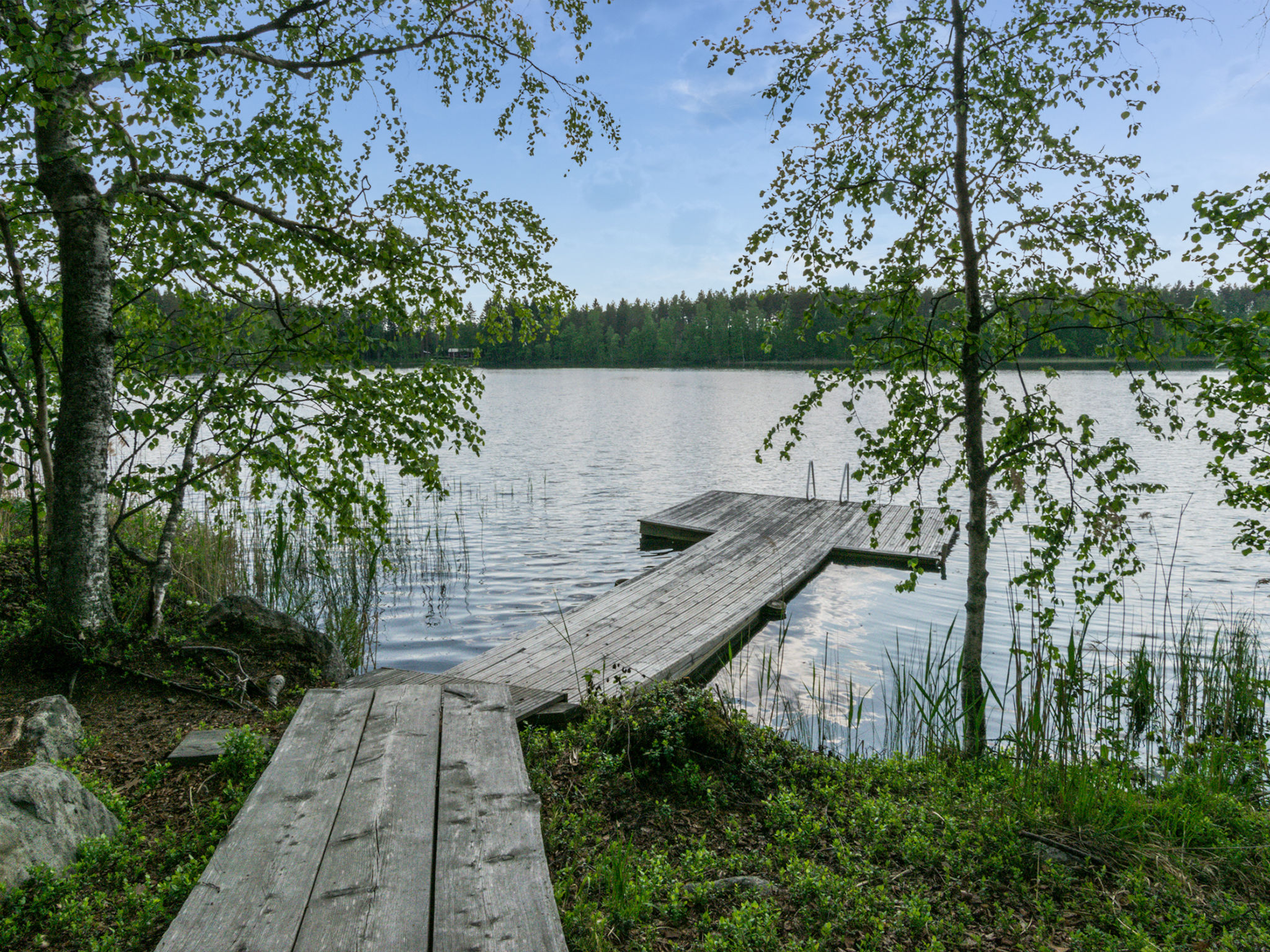 Koivuniemen rouva