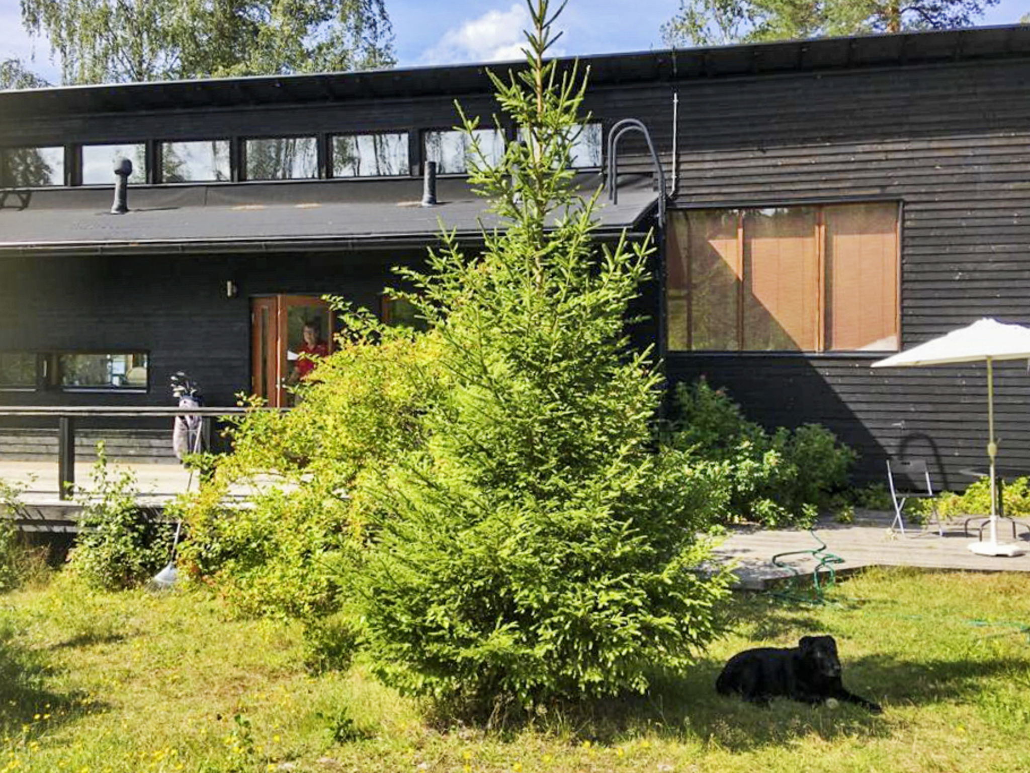 Hevonkuusi