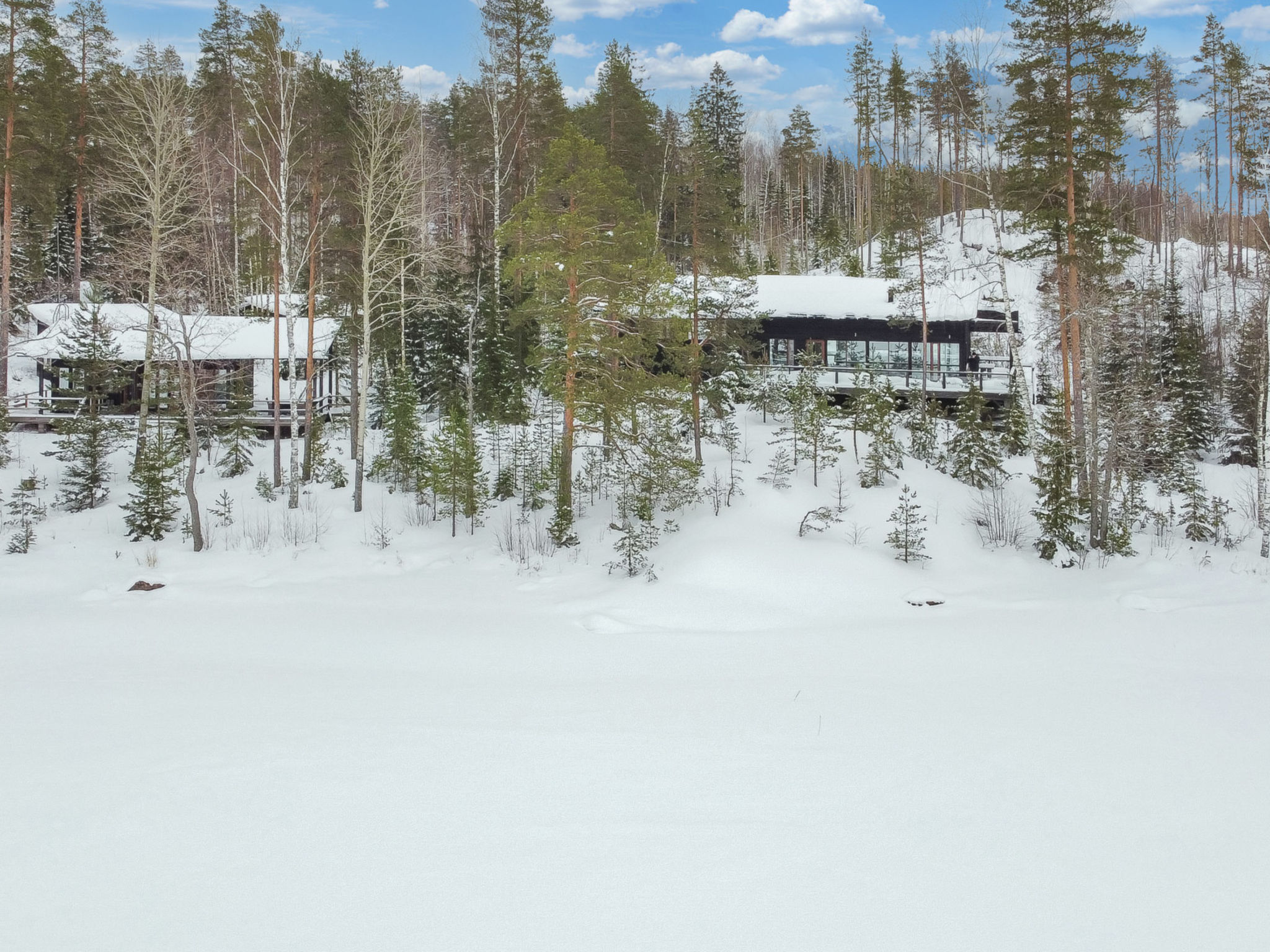 Hevonkuusi