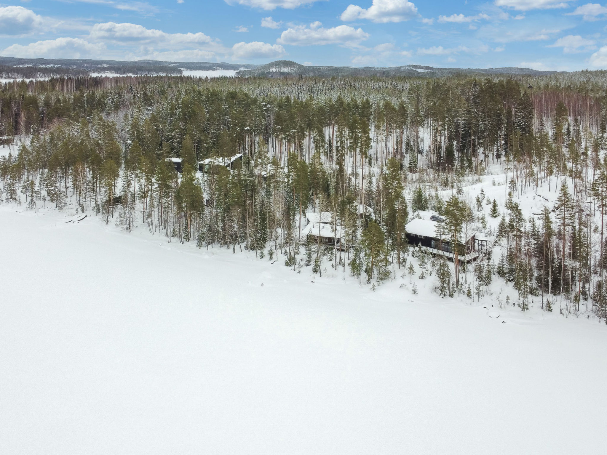 Hevonkuusi