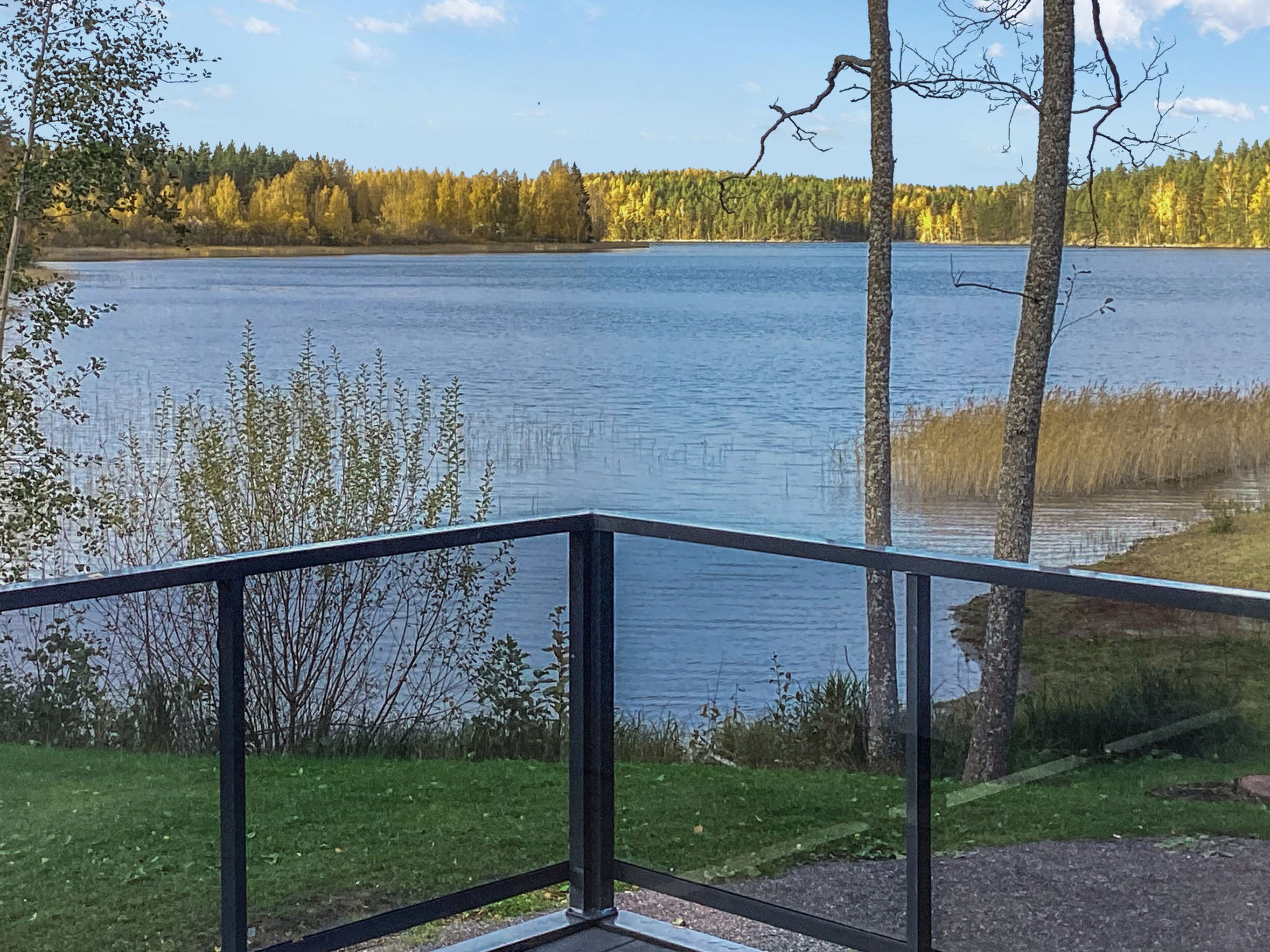 Käkikello