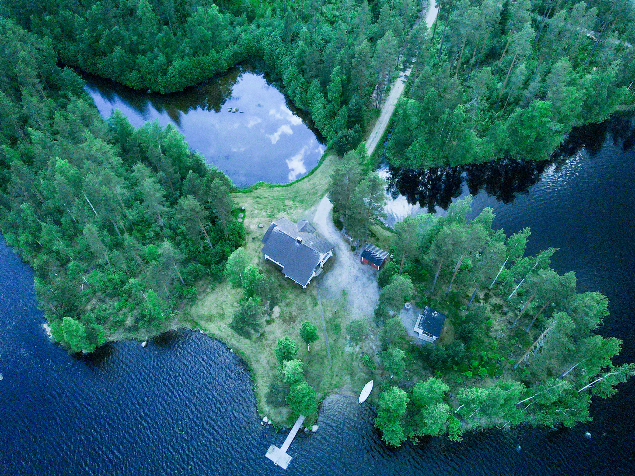 Suvituuli