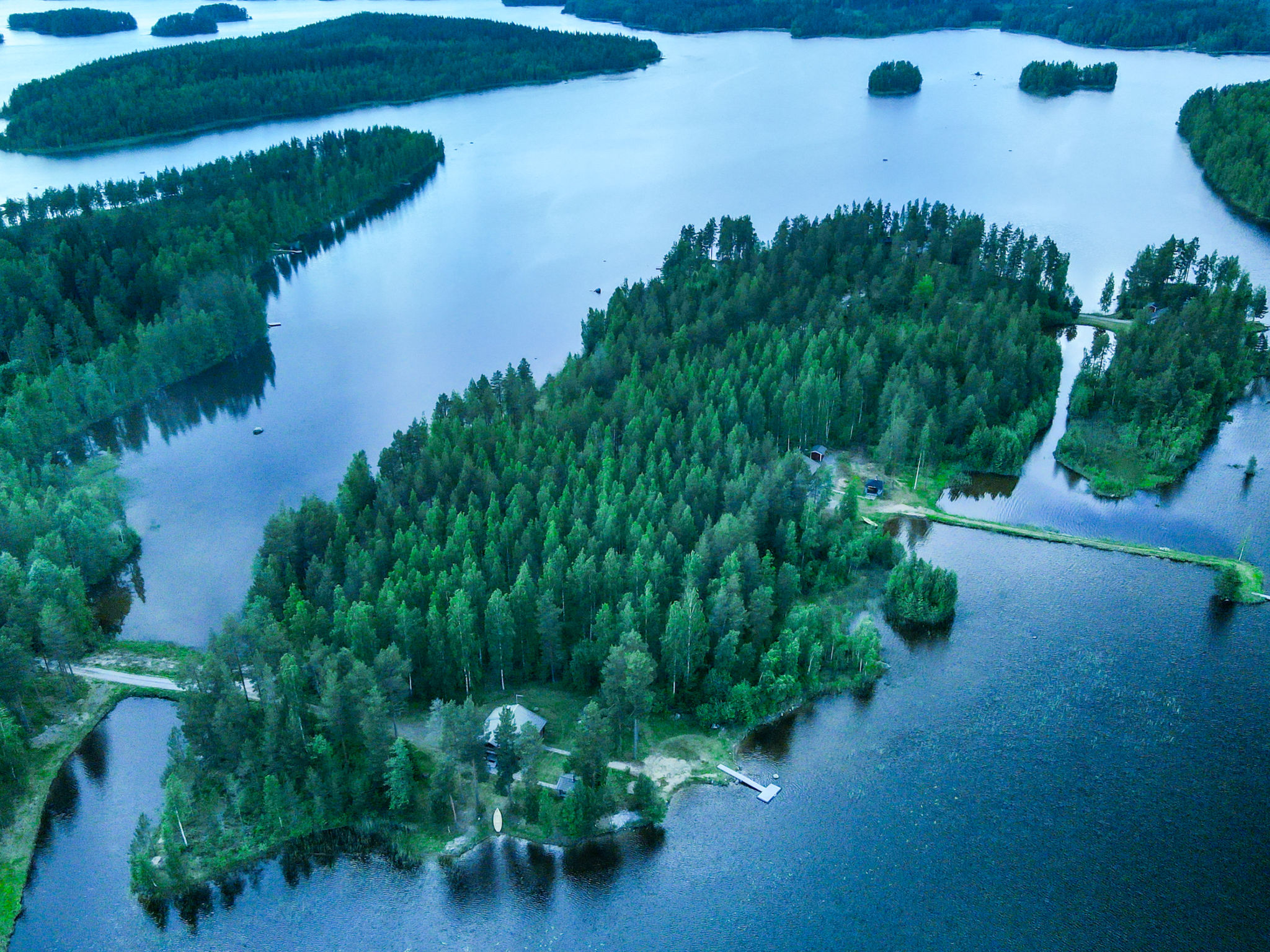 Suvituuli