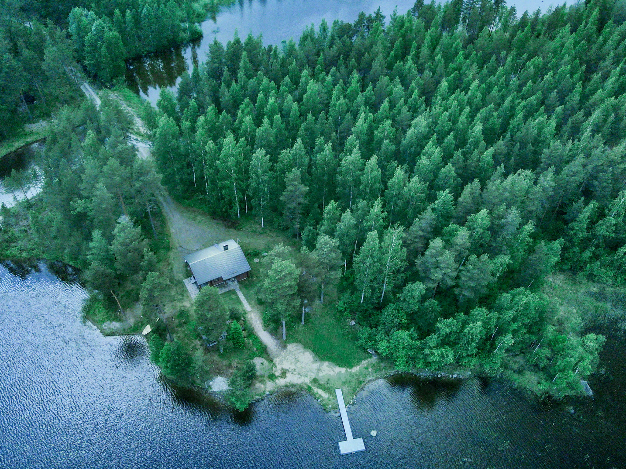 Sinikello - Binnen