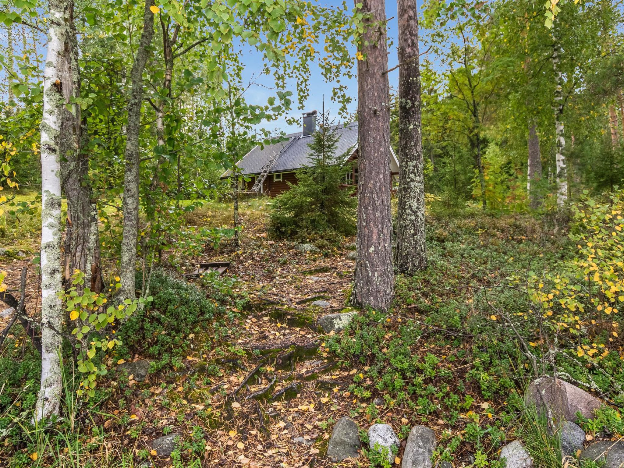 Vihreä mökki-Binnen