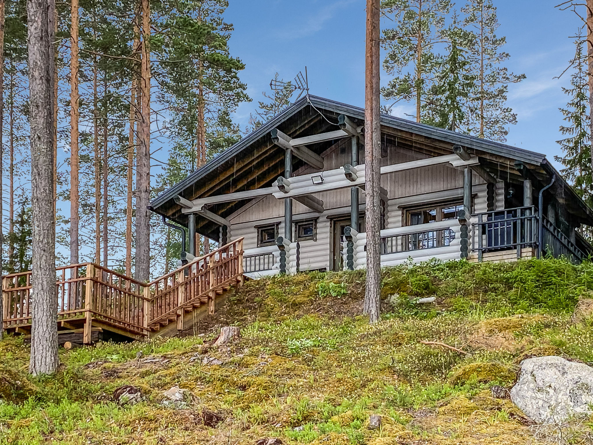 Villa norppa