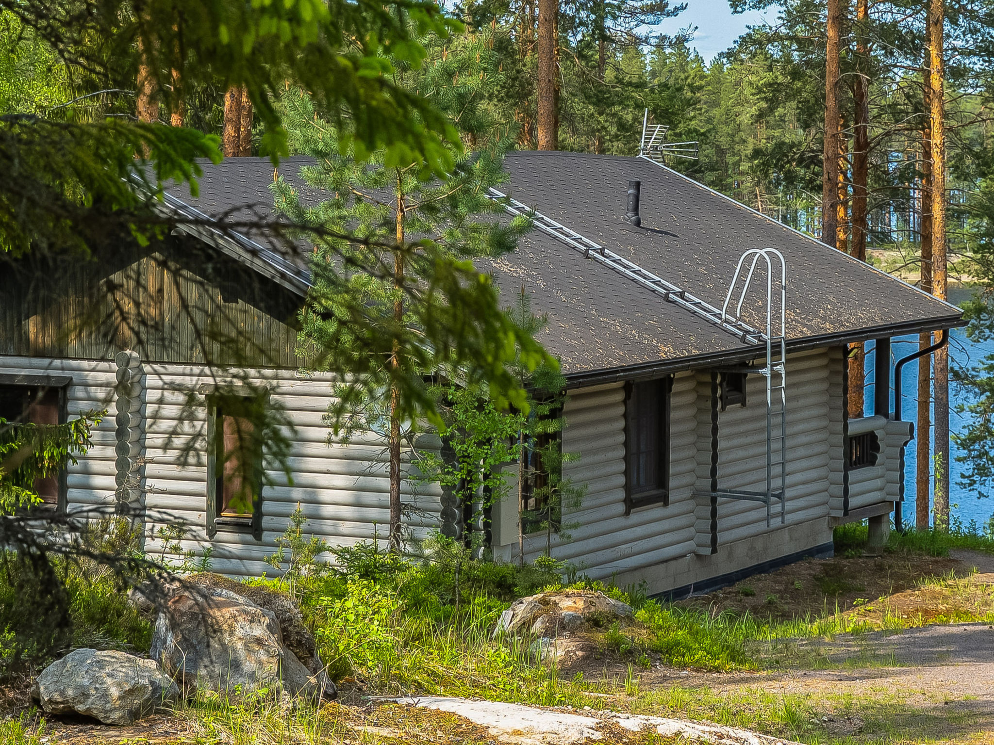 Villa norppa