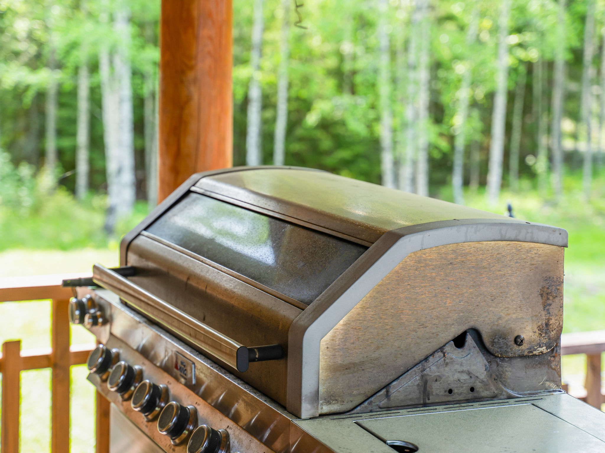 Villa joutsen-Binnen