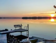 Puolen hehtaarin metsä