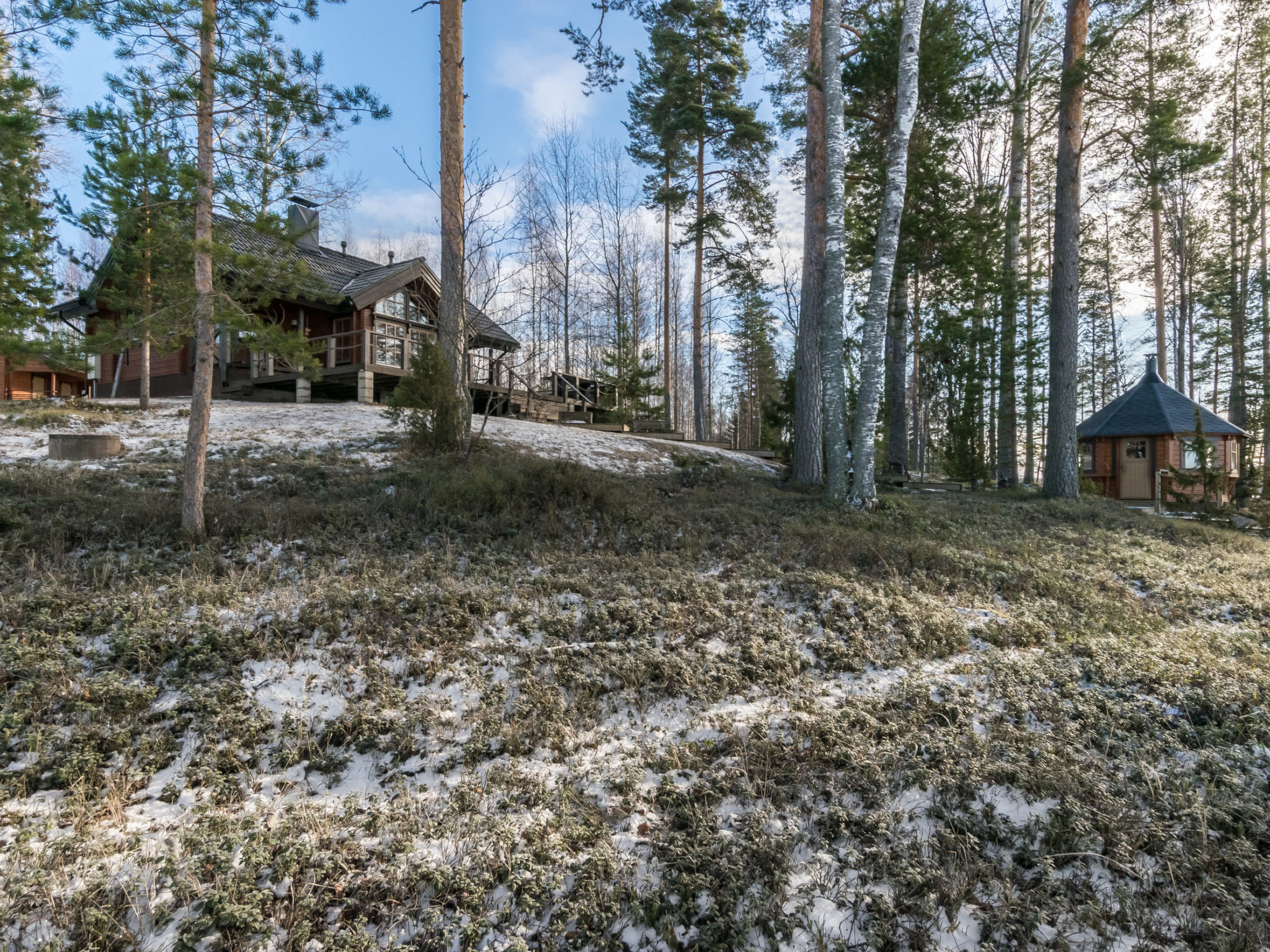 Puolen hehtaarin metsä