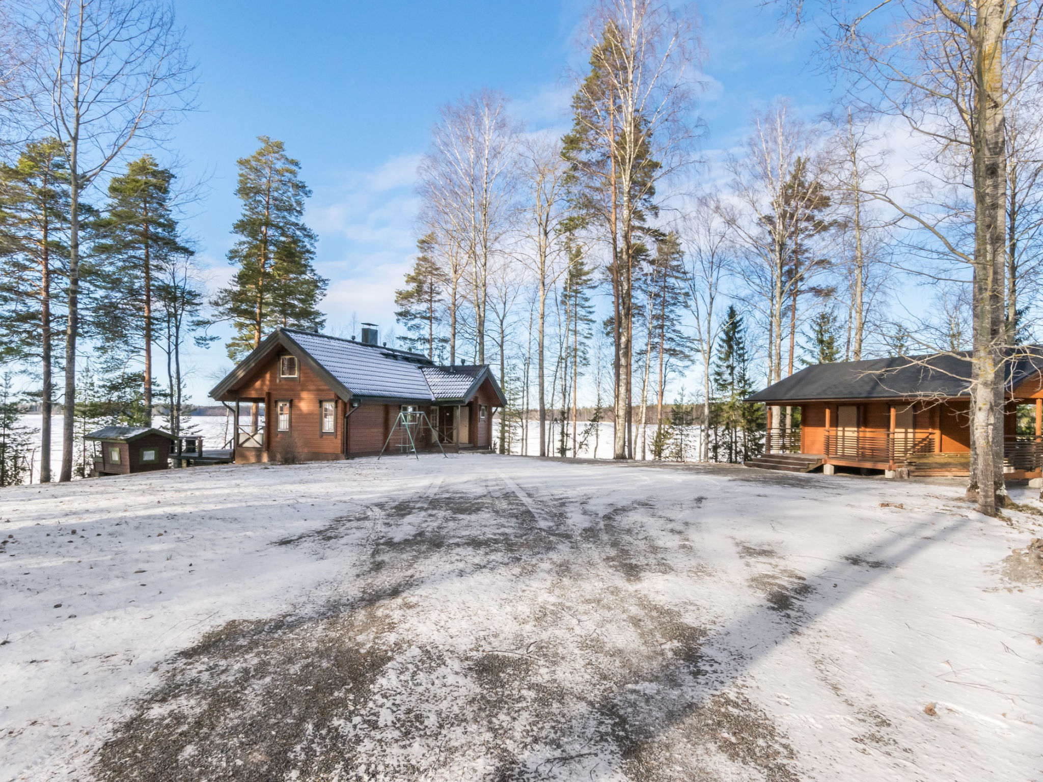 Puolen hehtaarin metsä