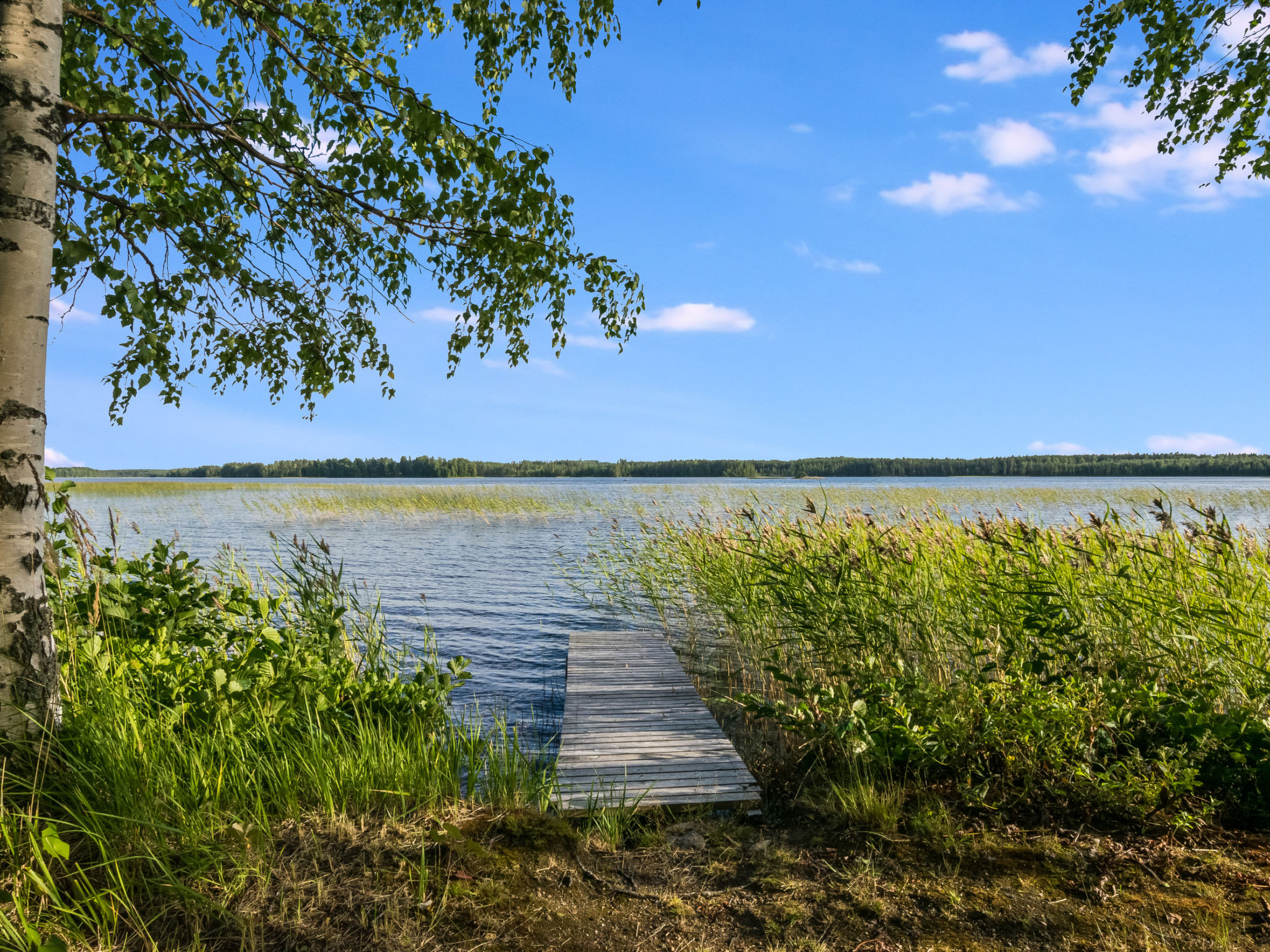 Maison Kekkola – Intérieur, photo 5 sur 54