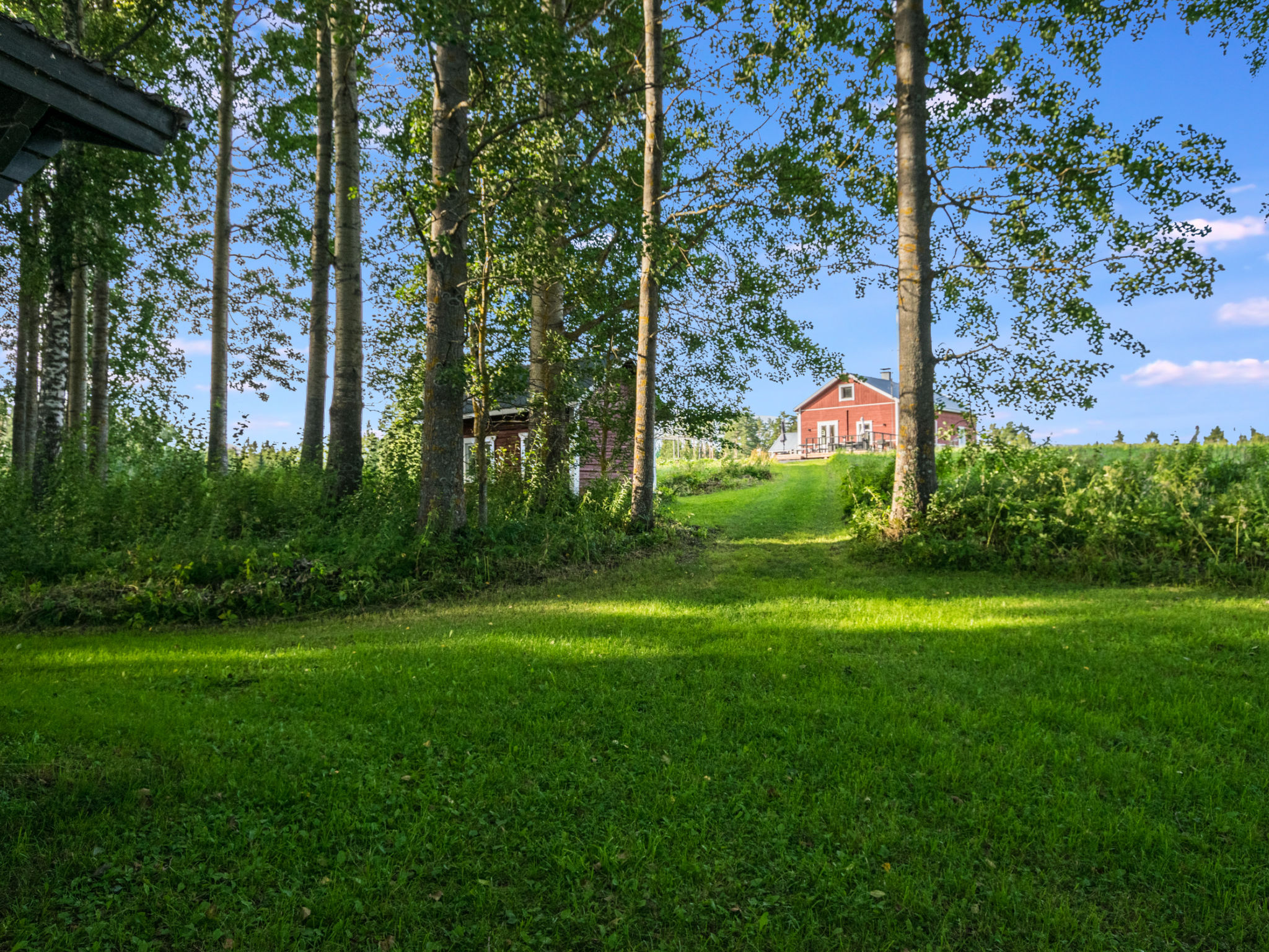 Kekkola