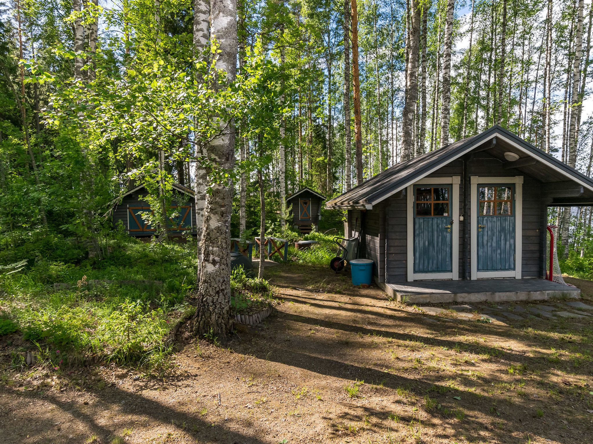 Villa kotikoivu