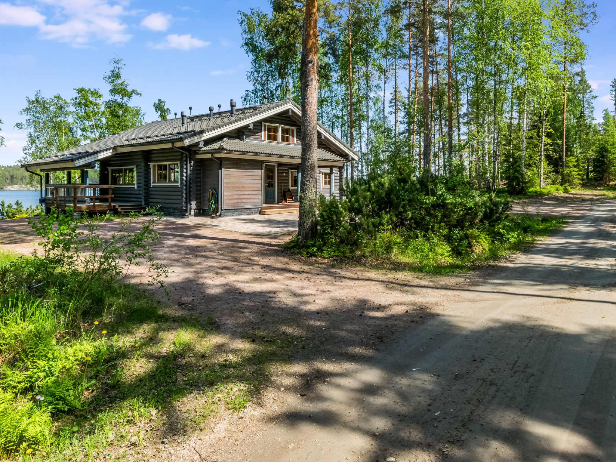 Villa kotikoivu