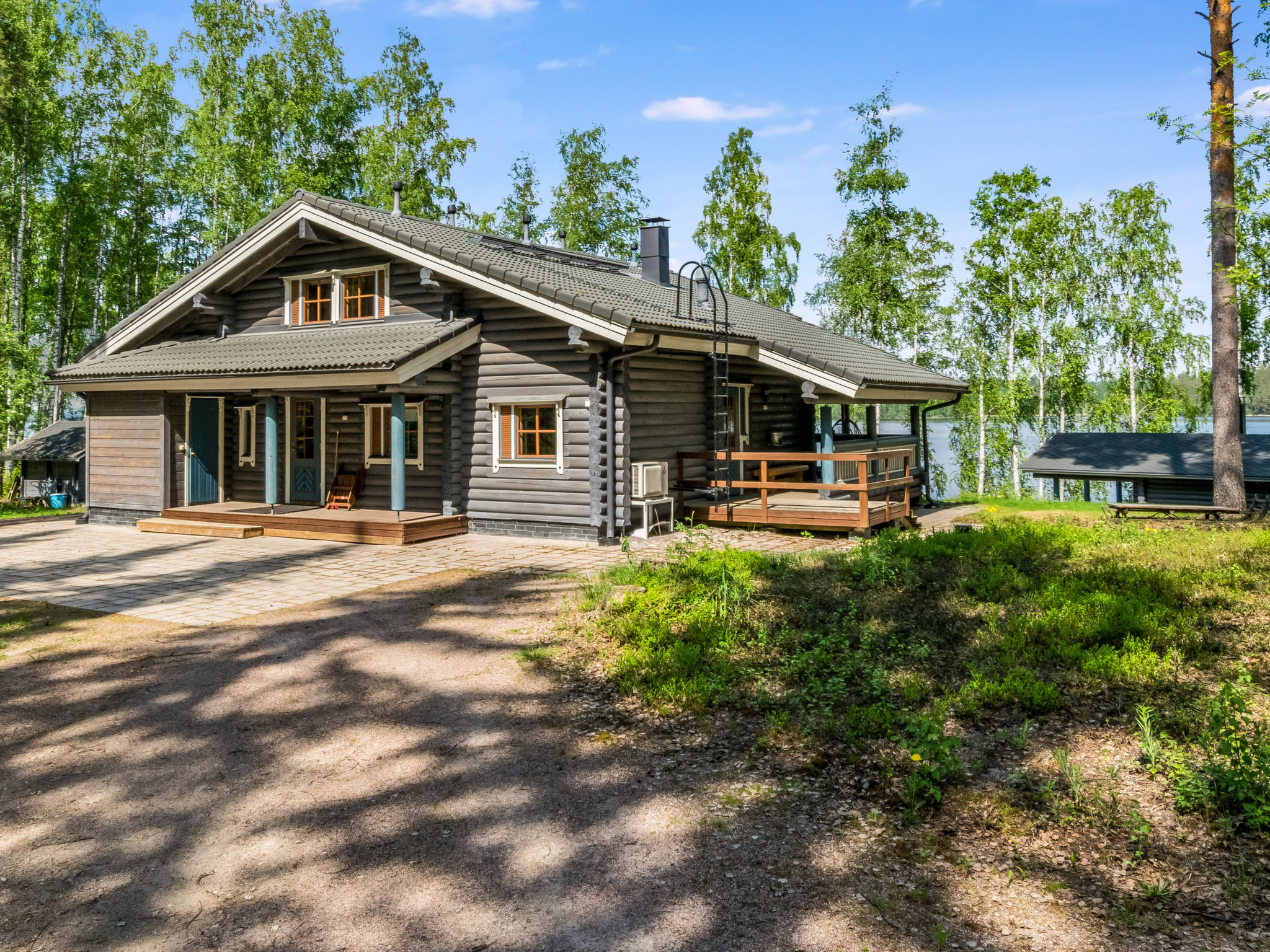 Villa kotikoivu