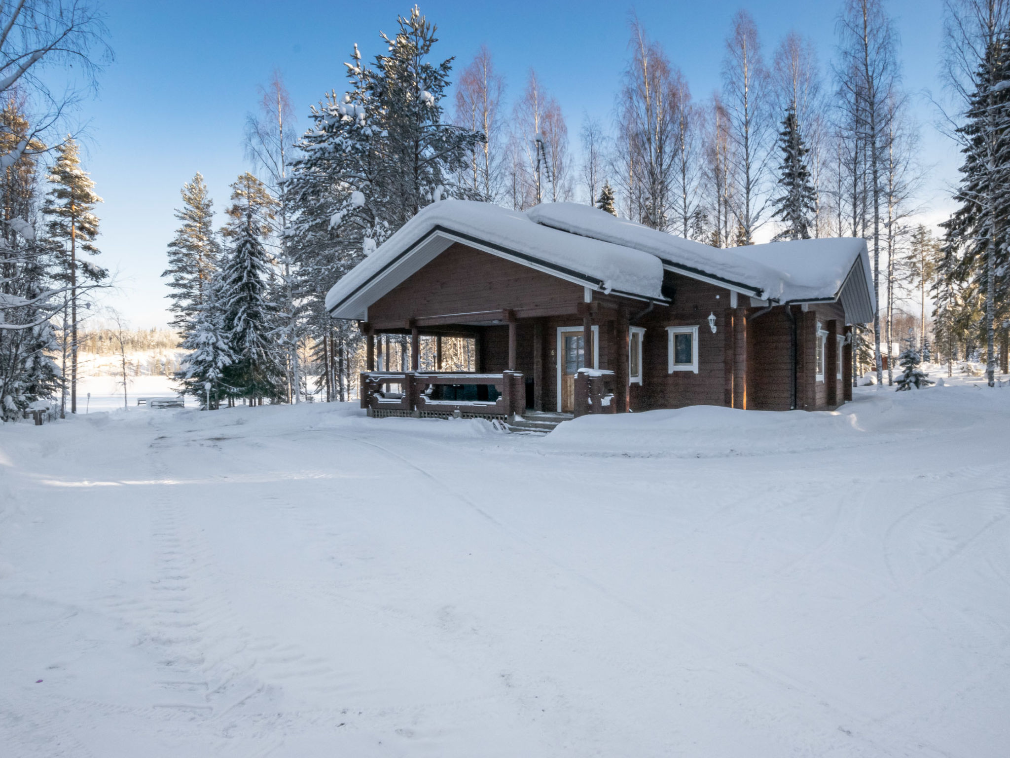 Villa kontio