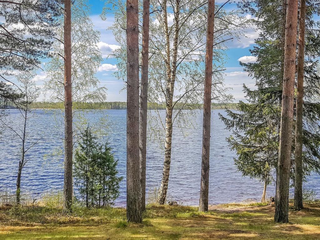 Vakantiehuis Männikkö in Finland