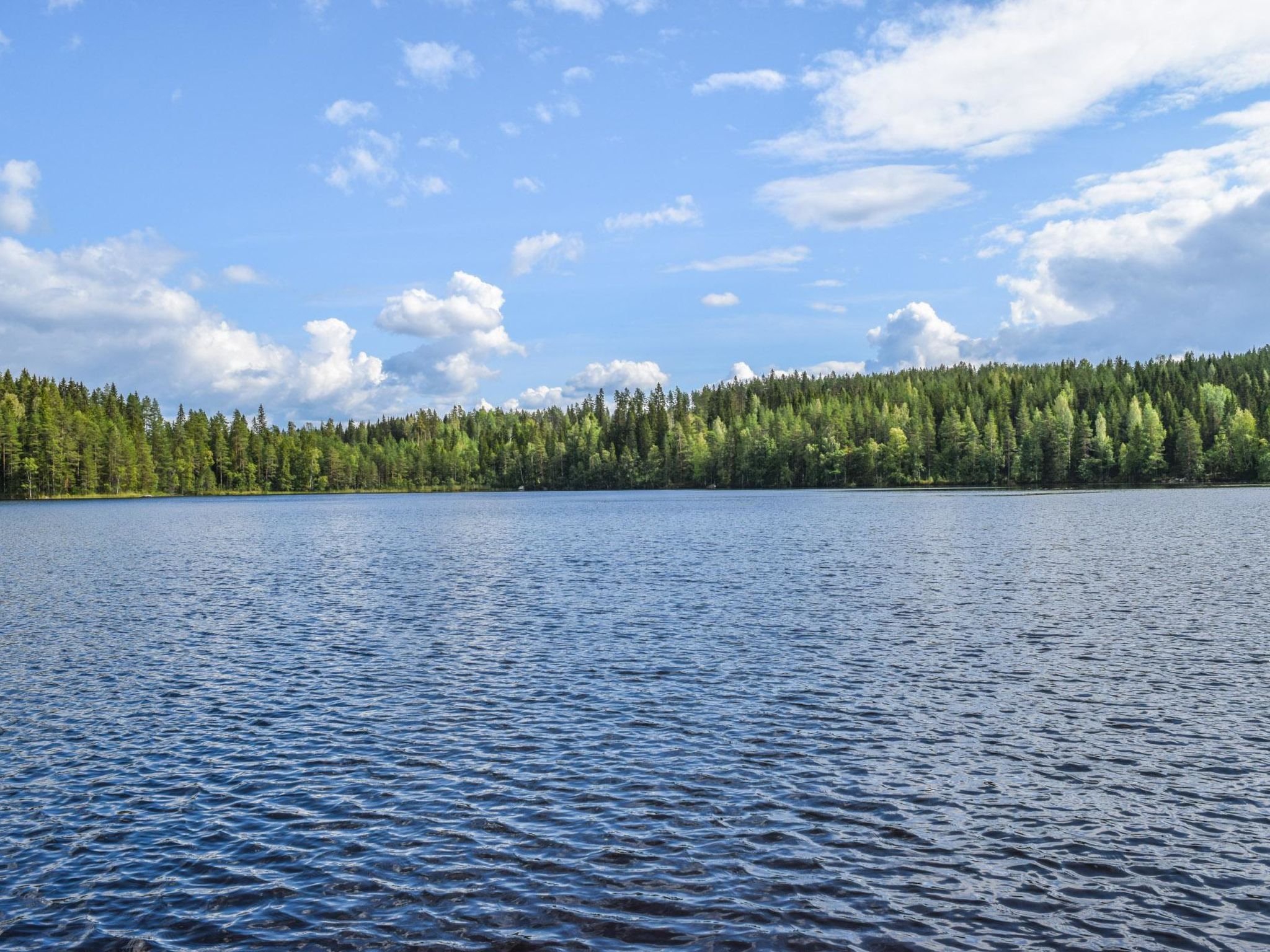 Lekojärven herra-Binnen
