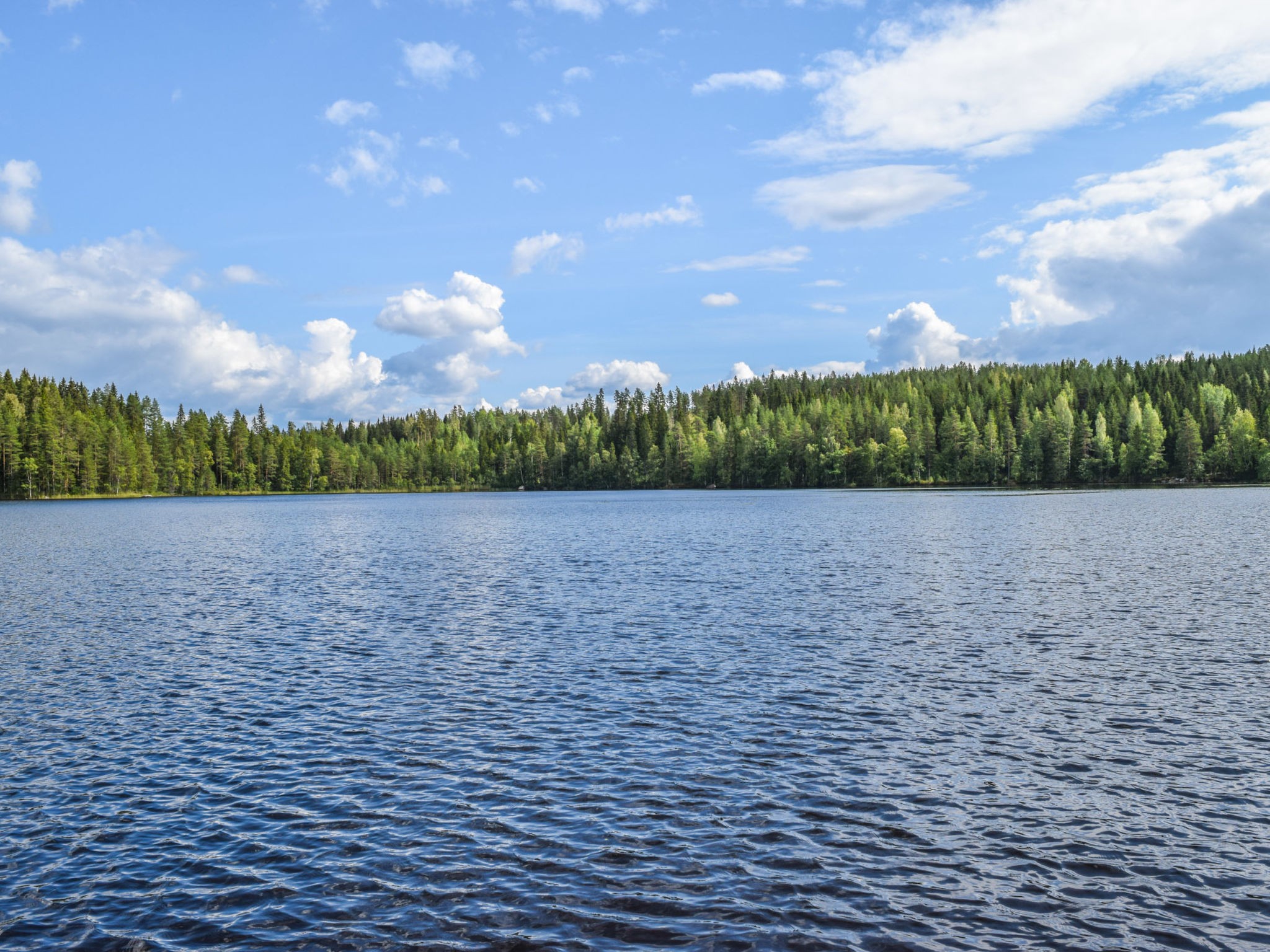 Lekojärven herra - Dedans