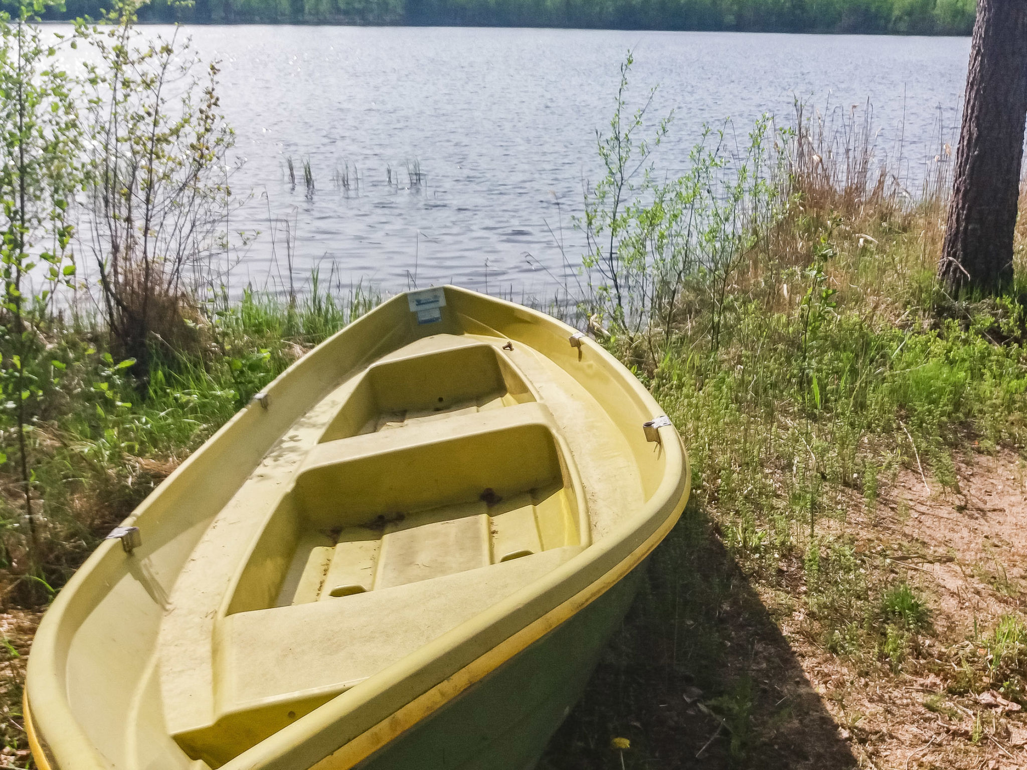 Aurinkoniemi