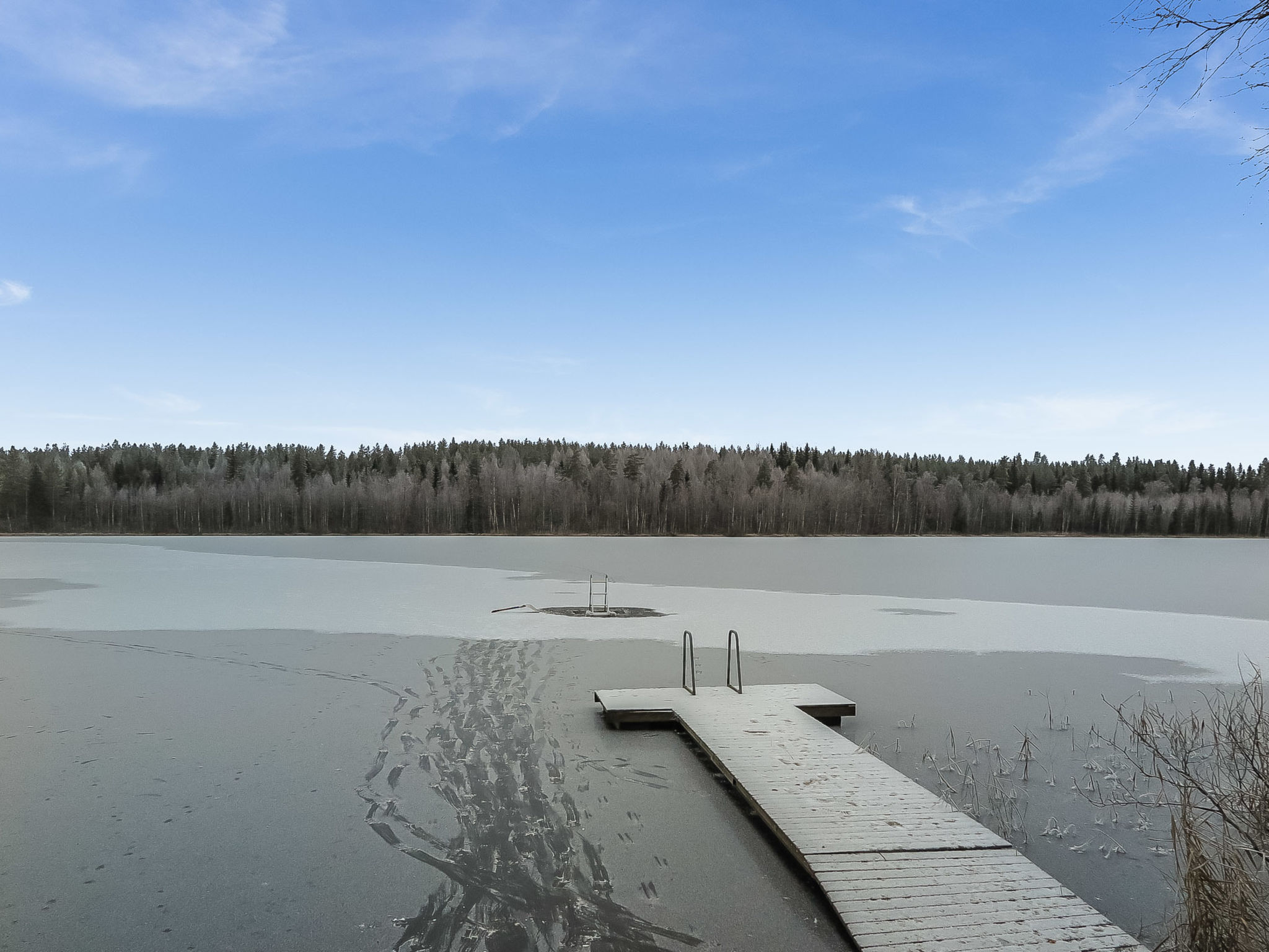 Aurinkoniemi