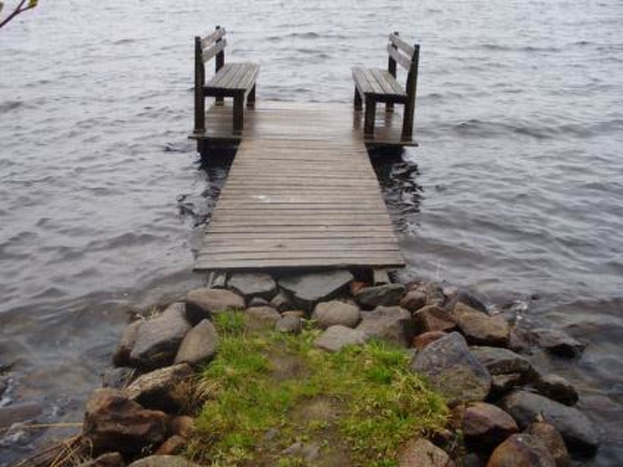 Hevonkuusi