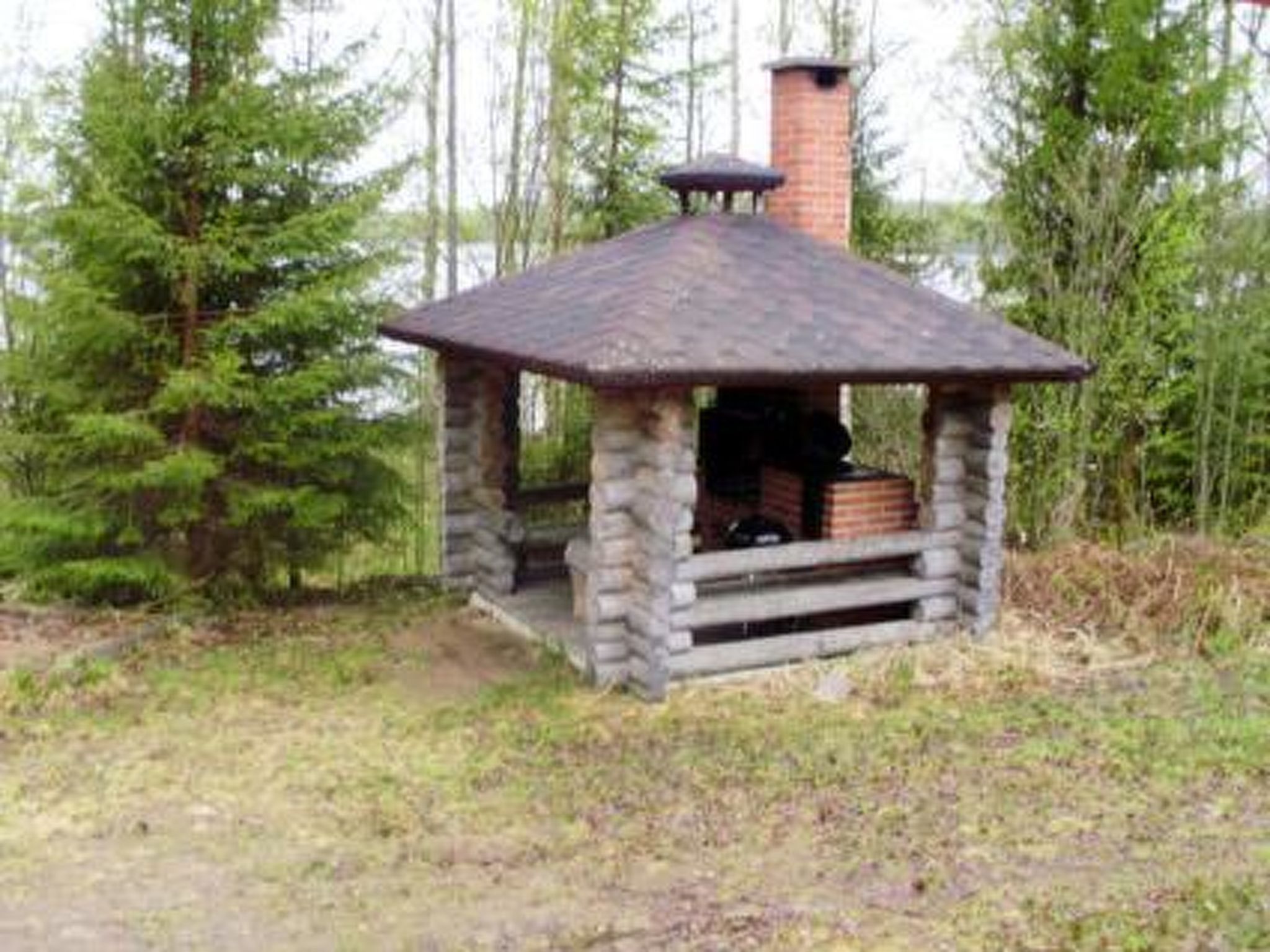Hevonkuusi