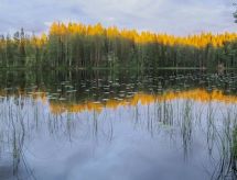 Houten villa Aurinko aan het meer in Jämsä met sauna en roeiboot - thumbnail 5