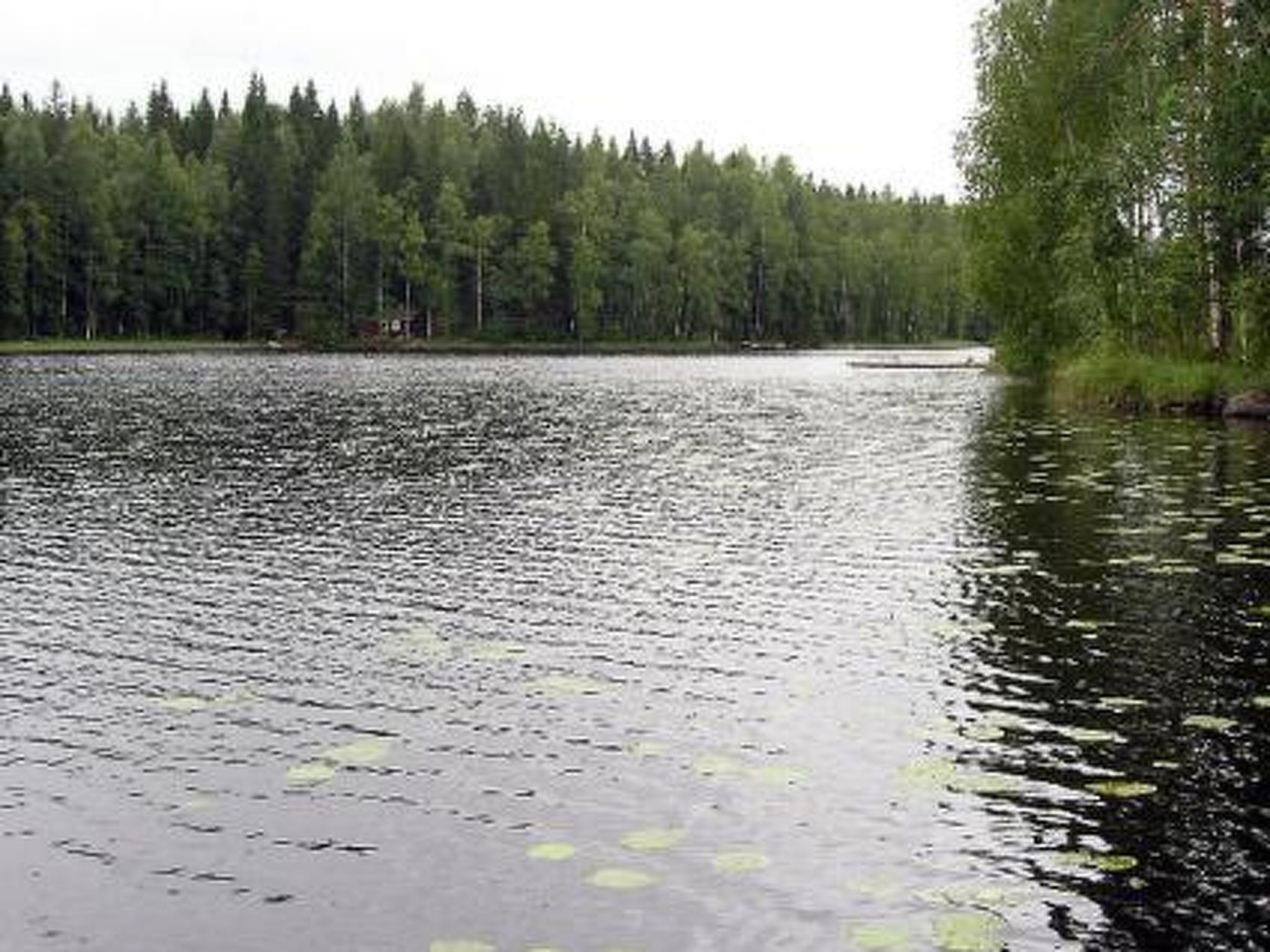 Aurinko