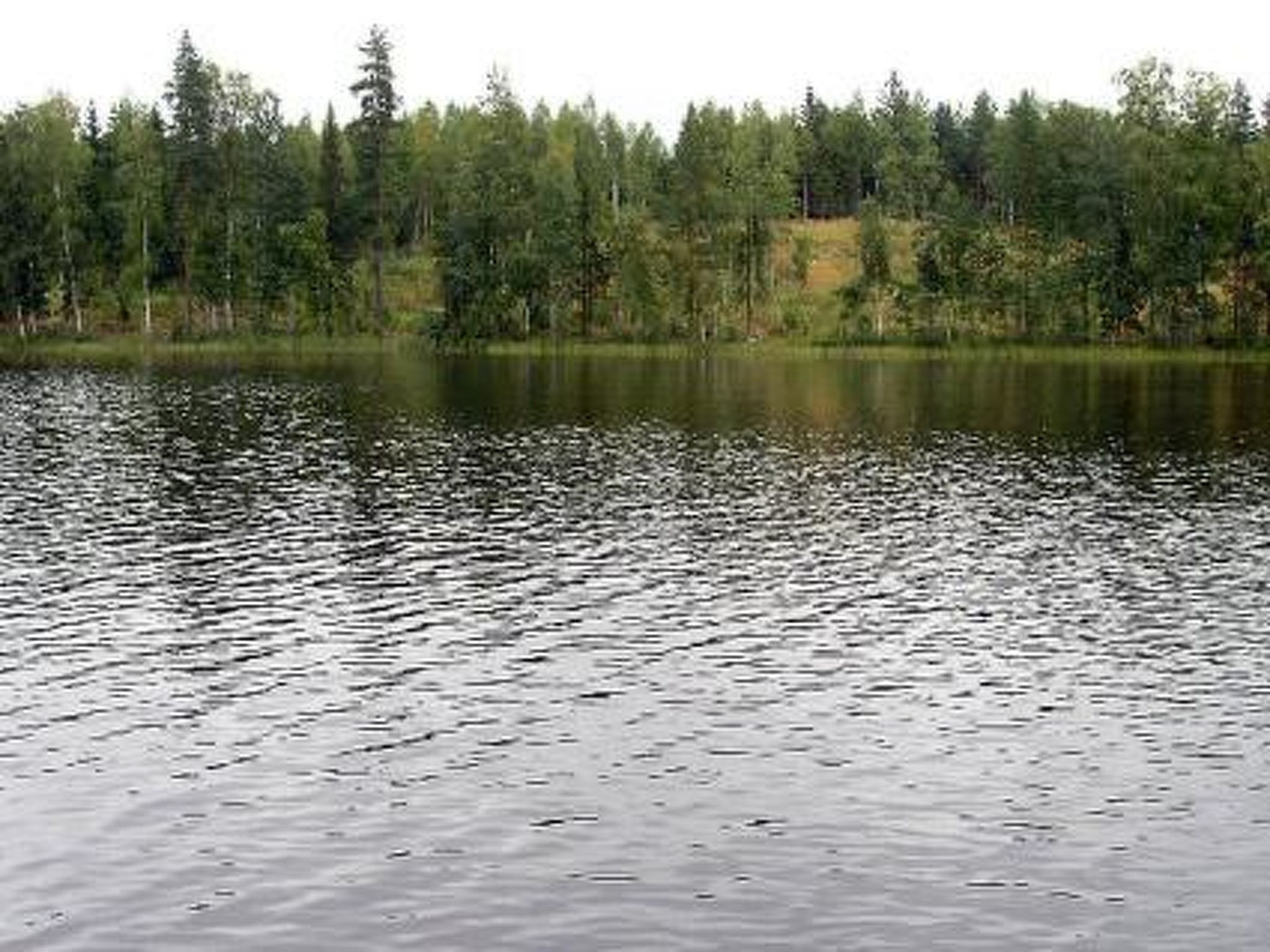 Aurinko