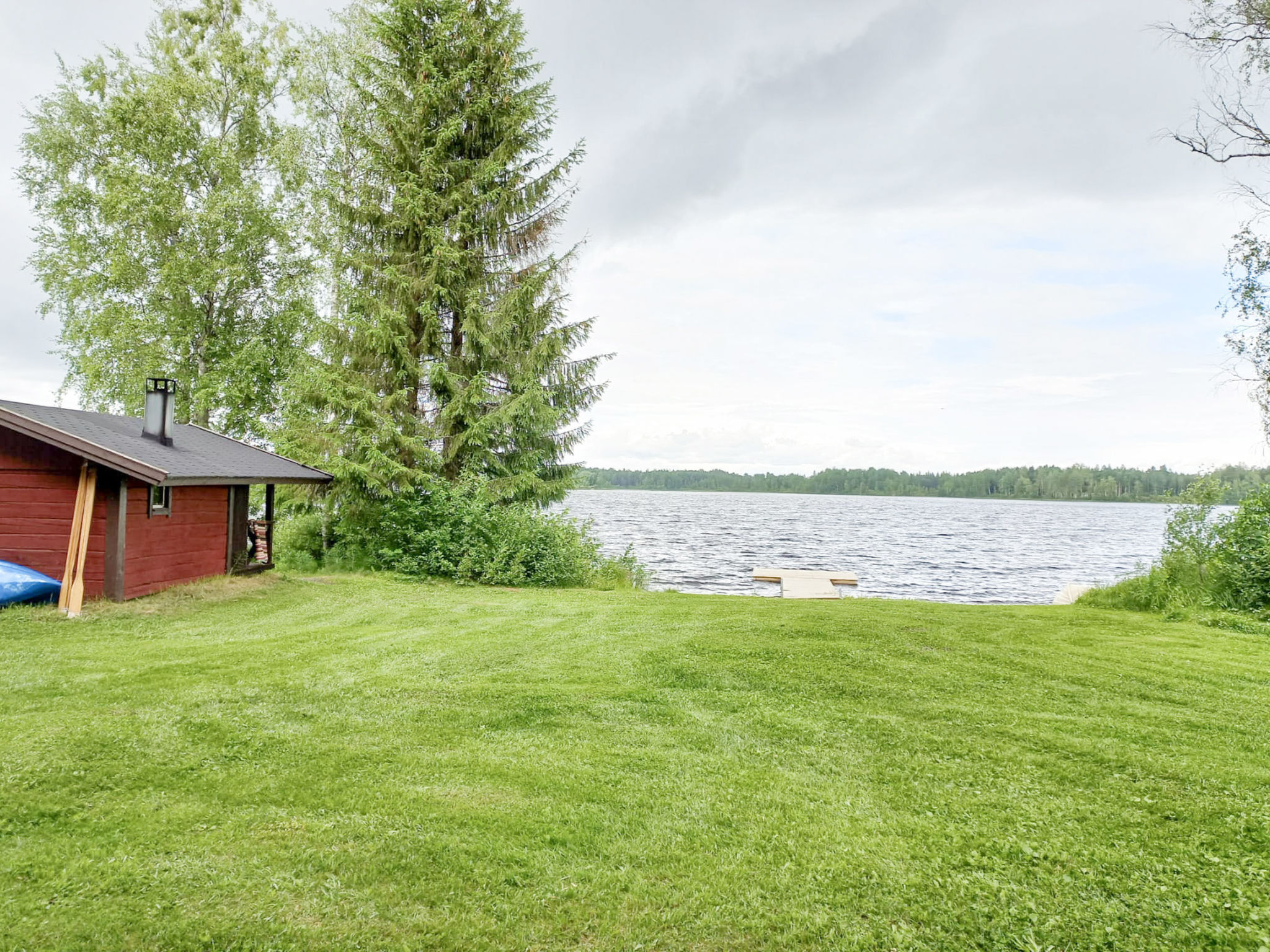 Ranta-koivu