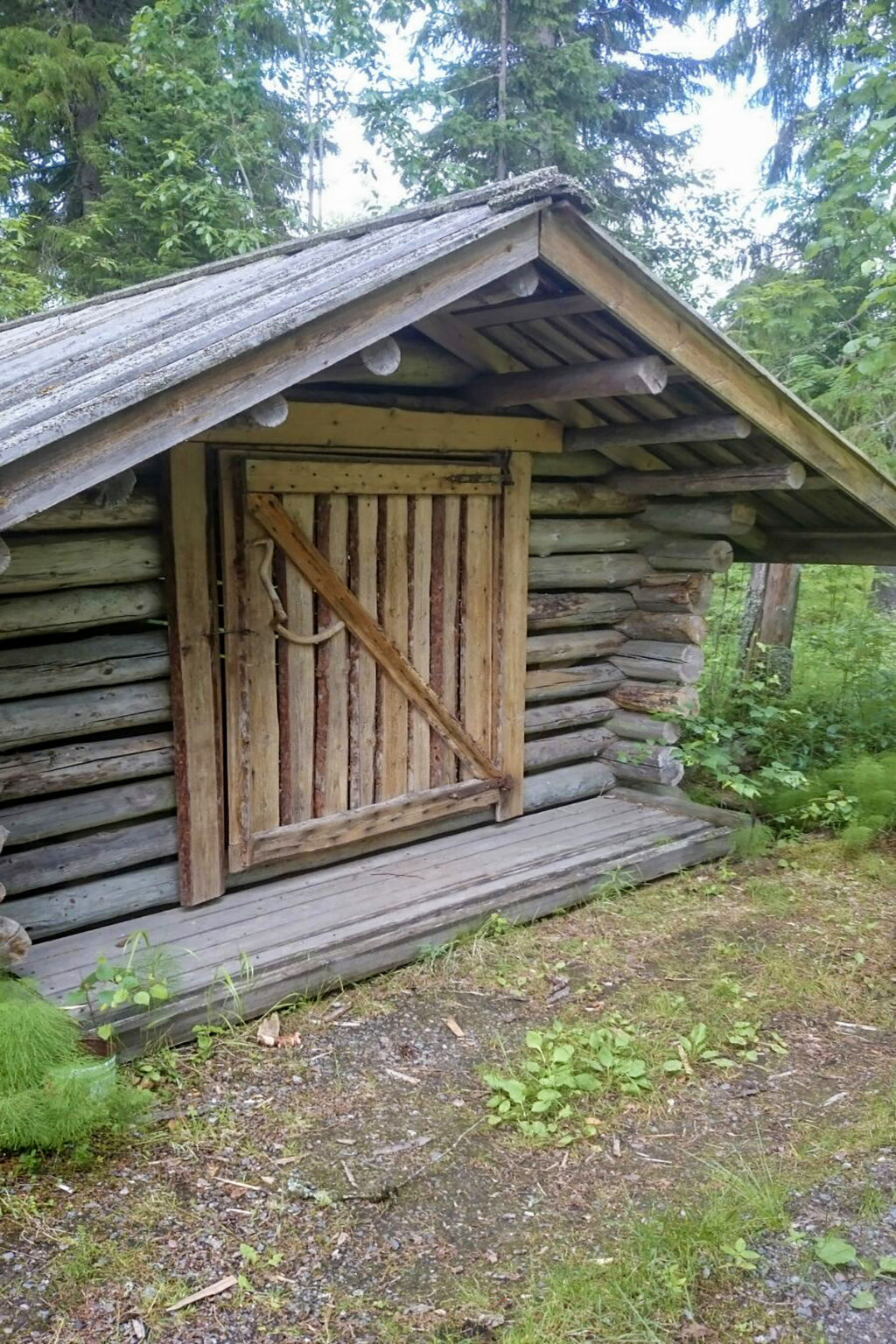 Ranta-koivu - Binnen