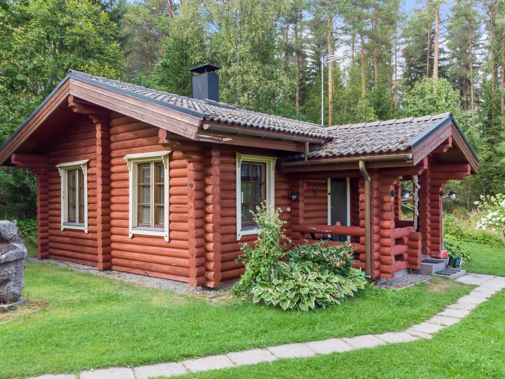 Vakantiehuis Petäjäniemi in Finland